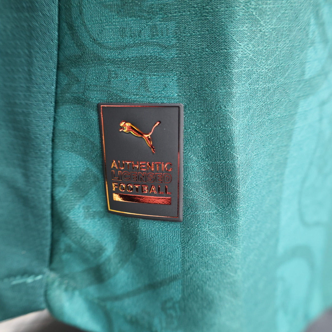 2024/2025 Player Version Plymouth Argyle Home Football Shirt 1:1 Thai Quality