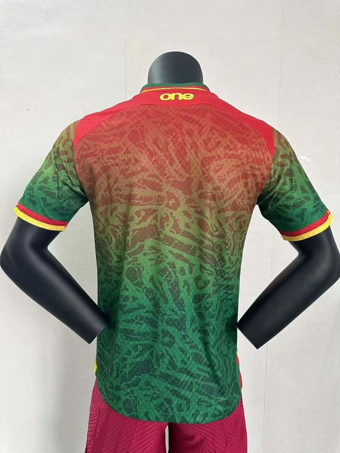 2024 Player Version Cameroon Home Football Shirt