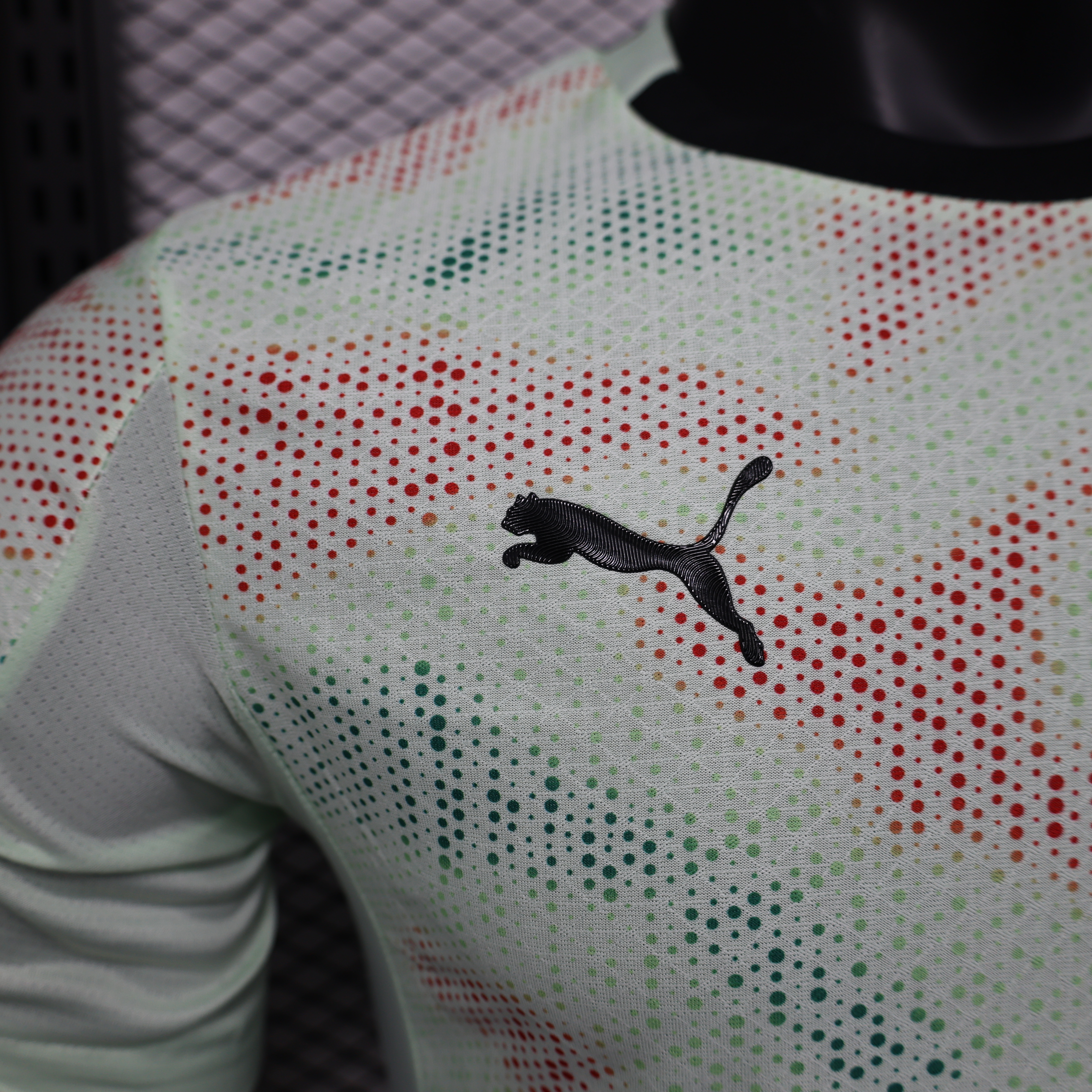 2025 Player Version Portugal Pre-match training suit  Football Shirt