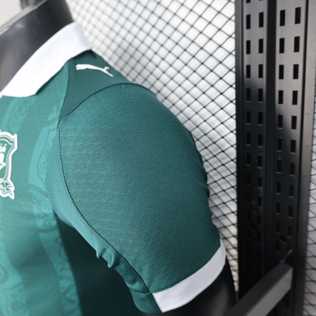 2024/2025 Player Version Plymouth Argyle Home Football Shirt 1:1 Thai Quality