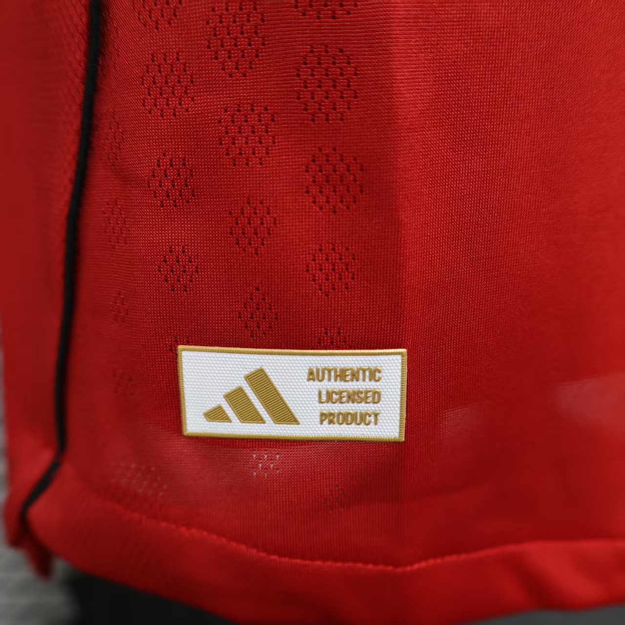 2025/2026 Long Sleeve Player Version Manchester United Football Shirt