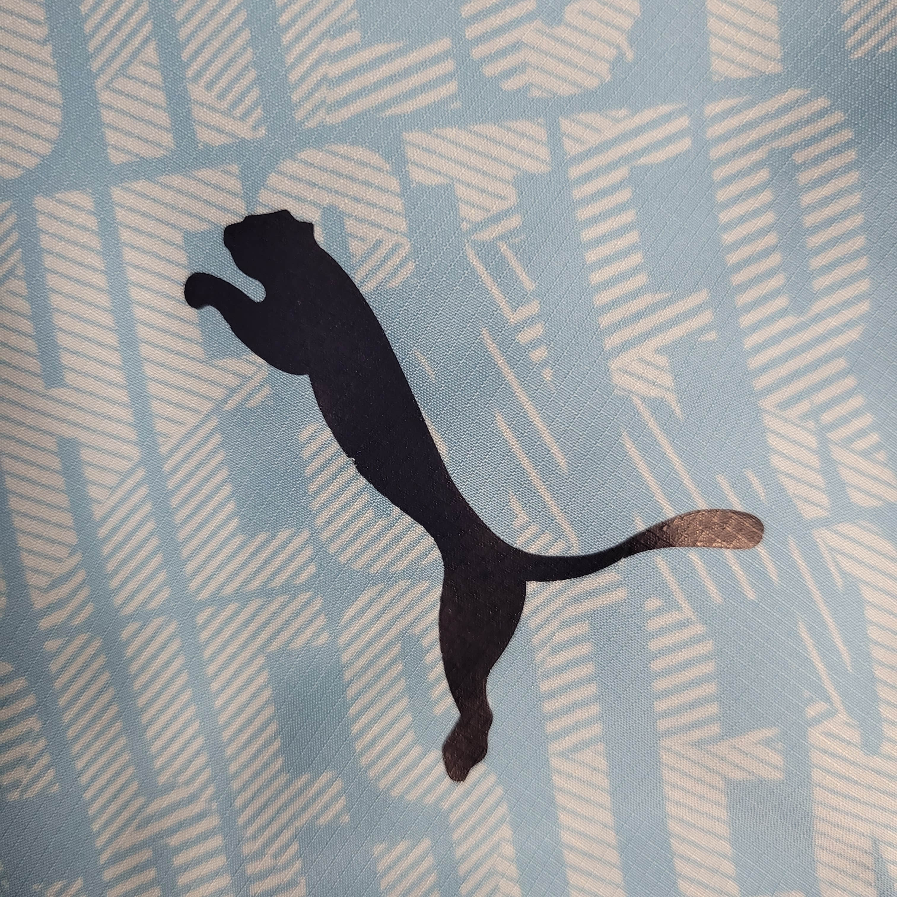 2023/2024 Manchester City Windbreaker Light Blue Football Shirt