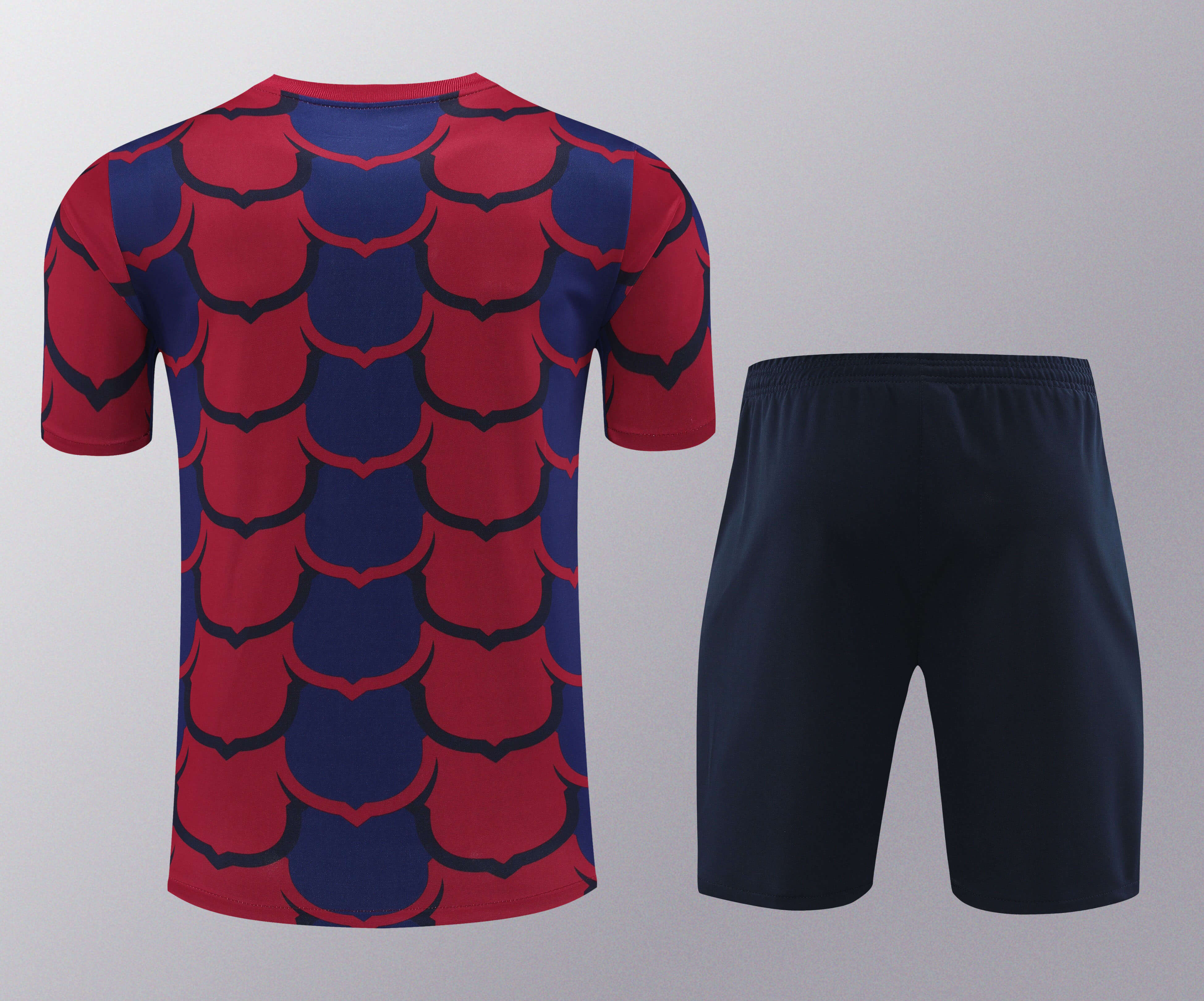 2024/2025 Barcelona Training Wear Suit Shirt