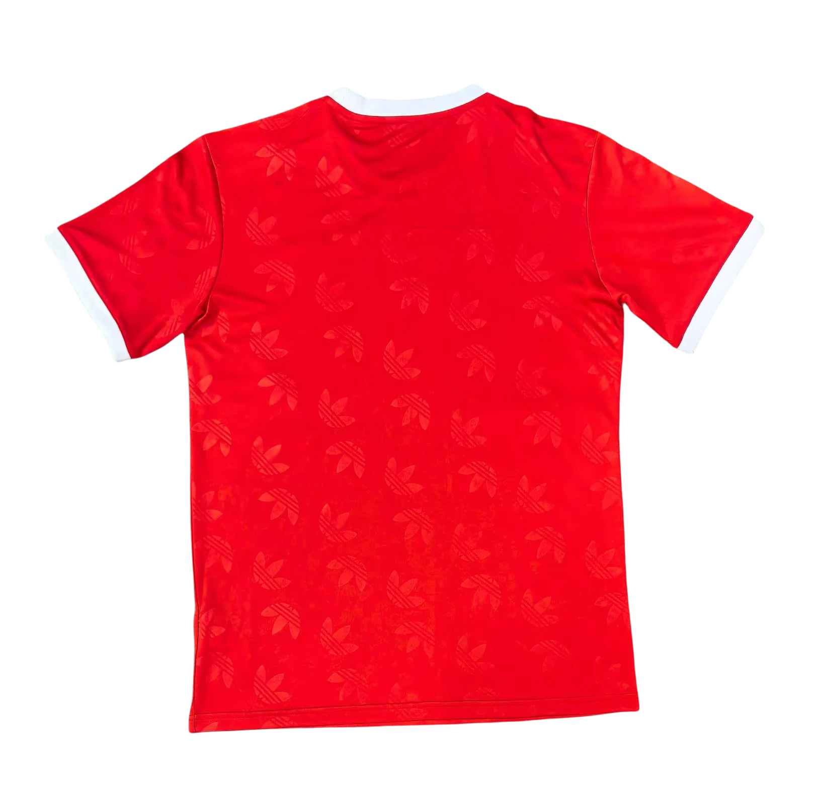 2024/2025 Bayern Munchen Special Edition Football Shirt