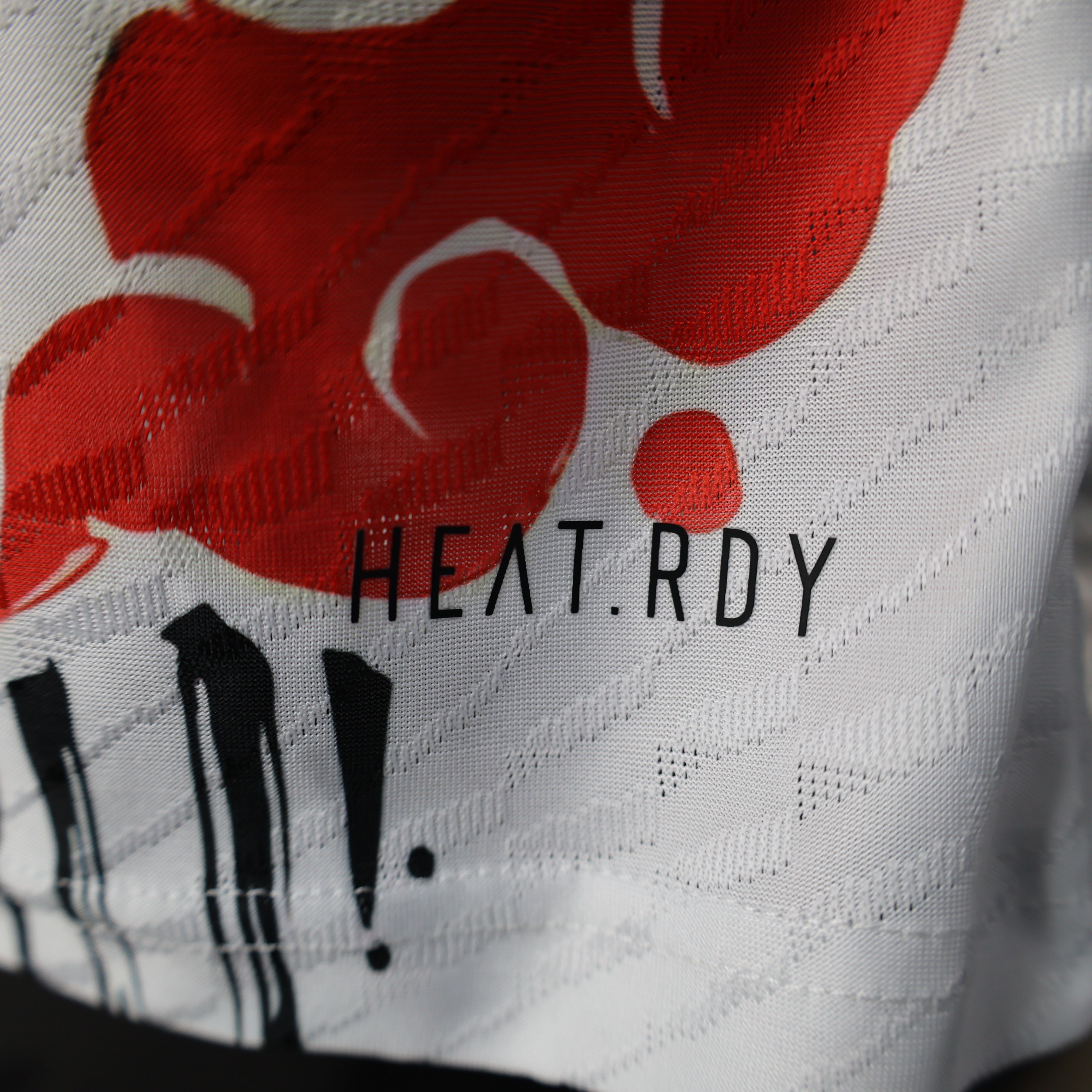 2024/2025 Player Version Japan Special Edition Football Shirt