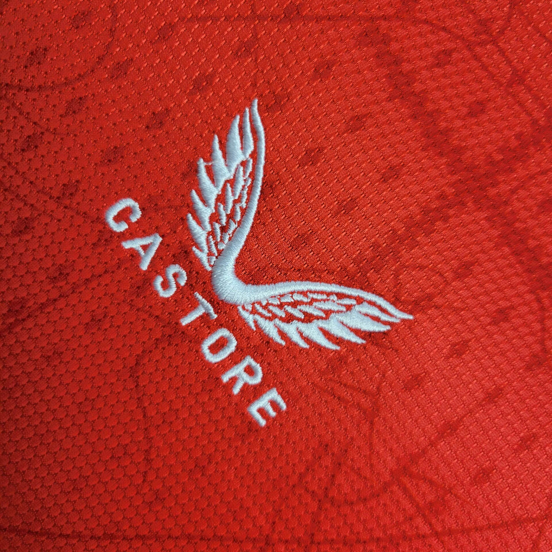 2024/2025 Leverkusen Home Football Shirt