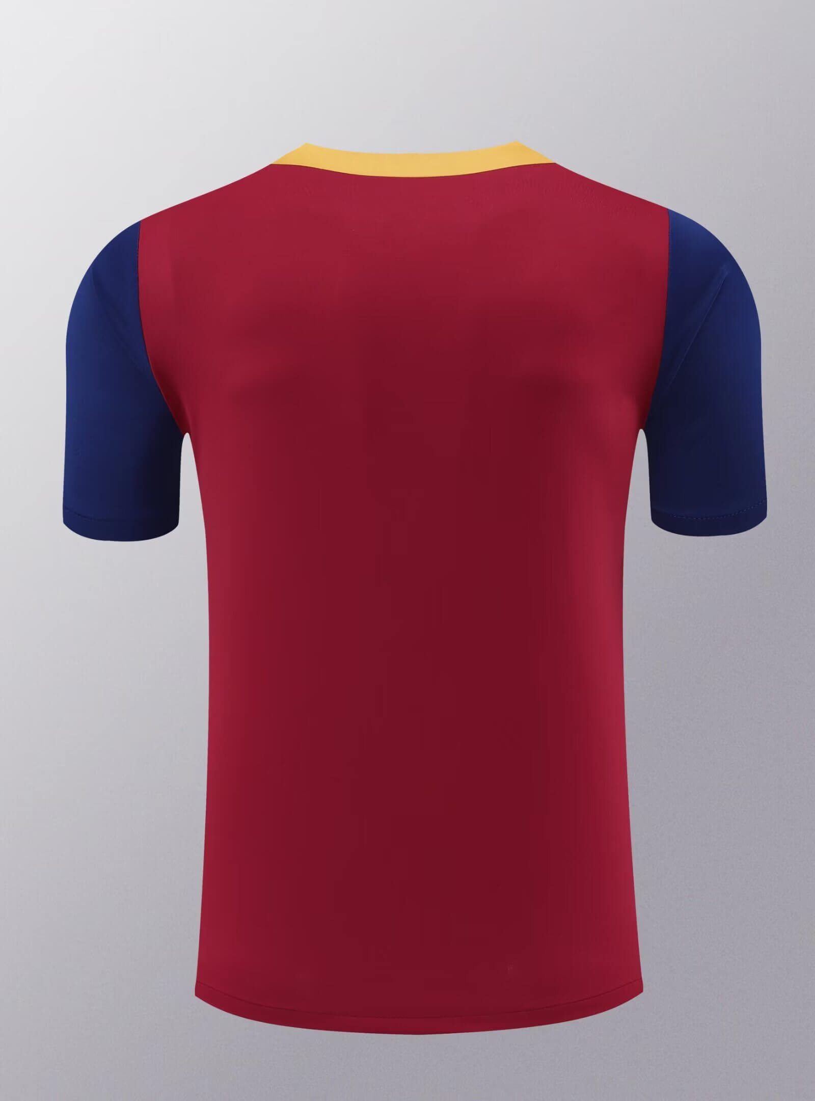2024/2025 Barcelona Training Wear Red Suit Shirt