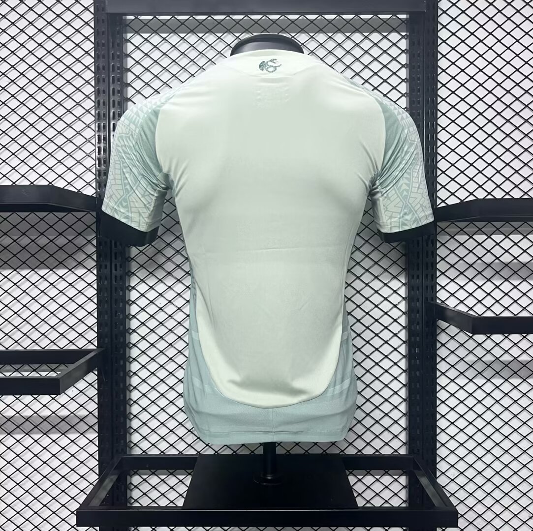 2024 Player Version Mexico Training Wear Football Shirt