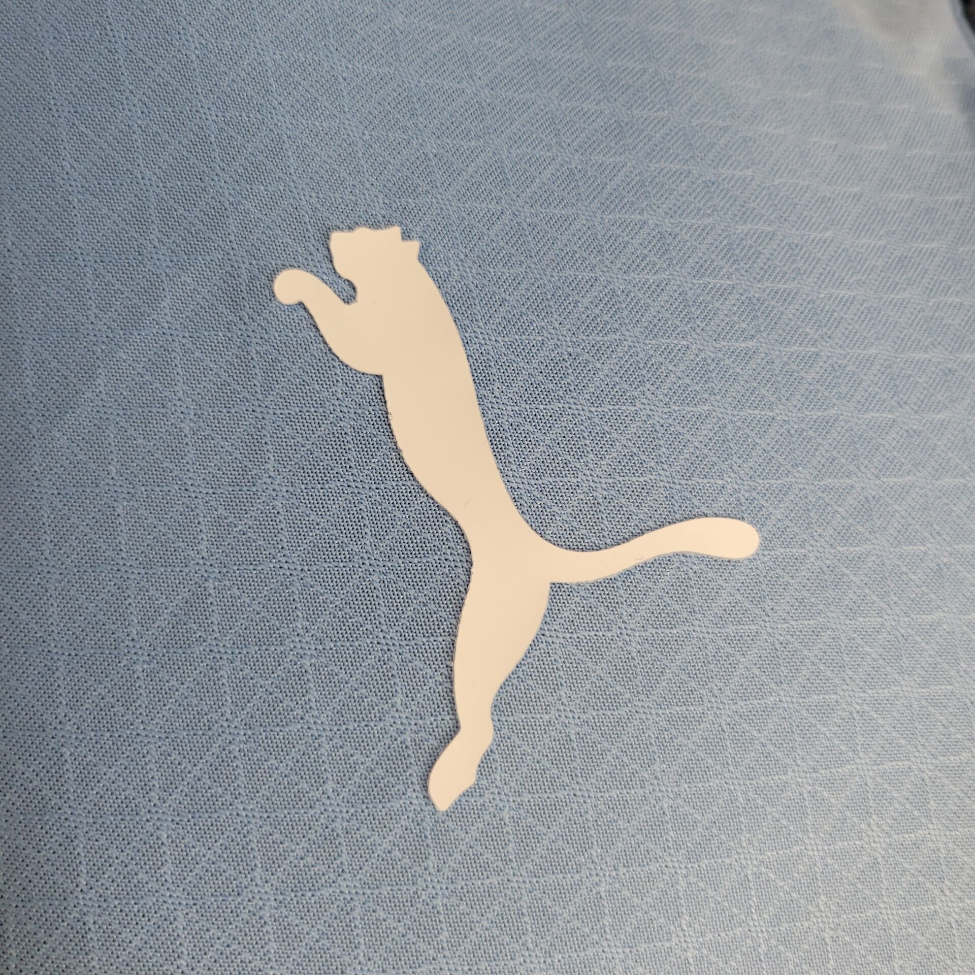 2024/2025 Player Version Manchester City Home Football Shirt