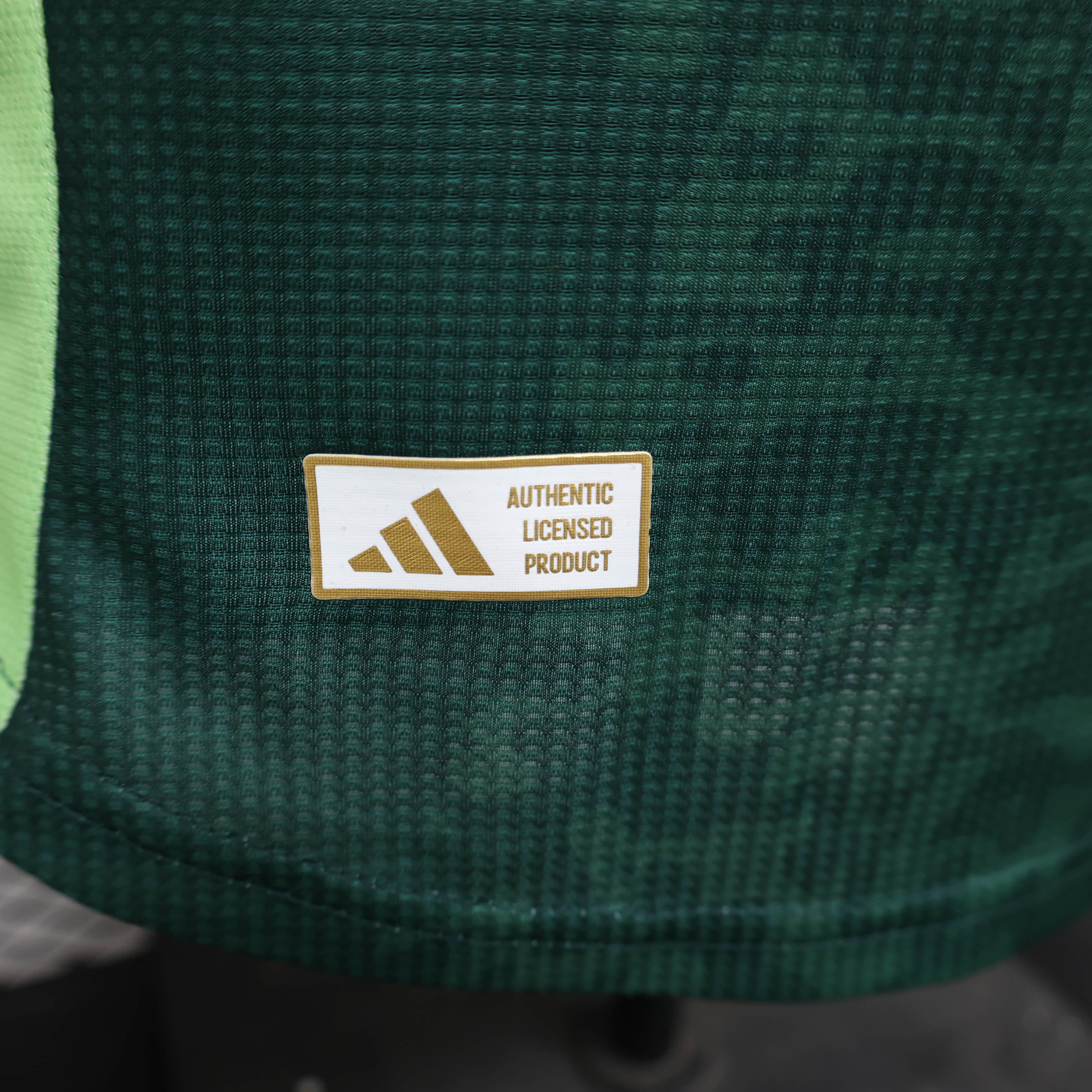 2024/2025 Player Version Algeria Away Football Shirt