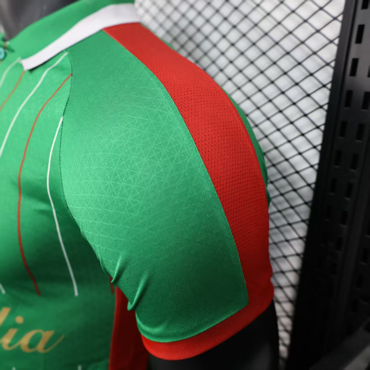 2025/2026 Player Version  Palestino  Football Shirt 1:1 Thai Quality