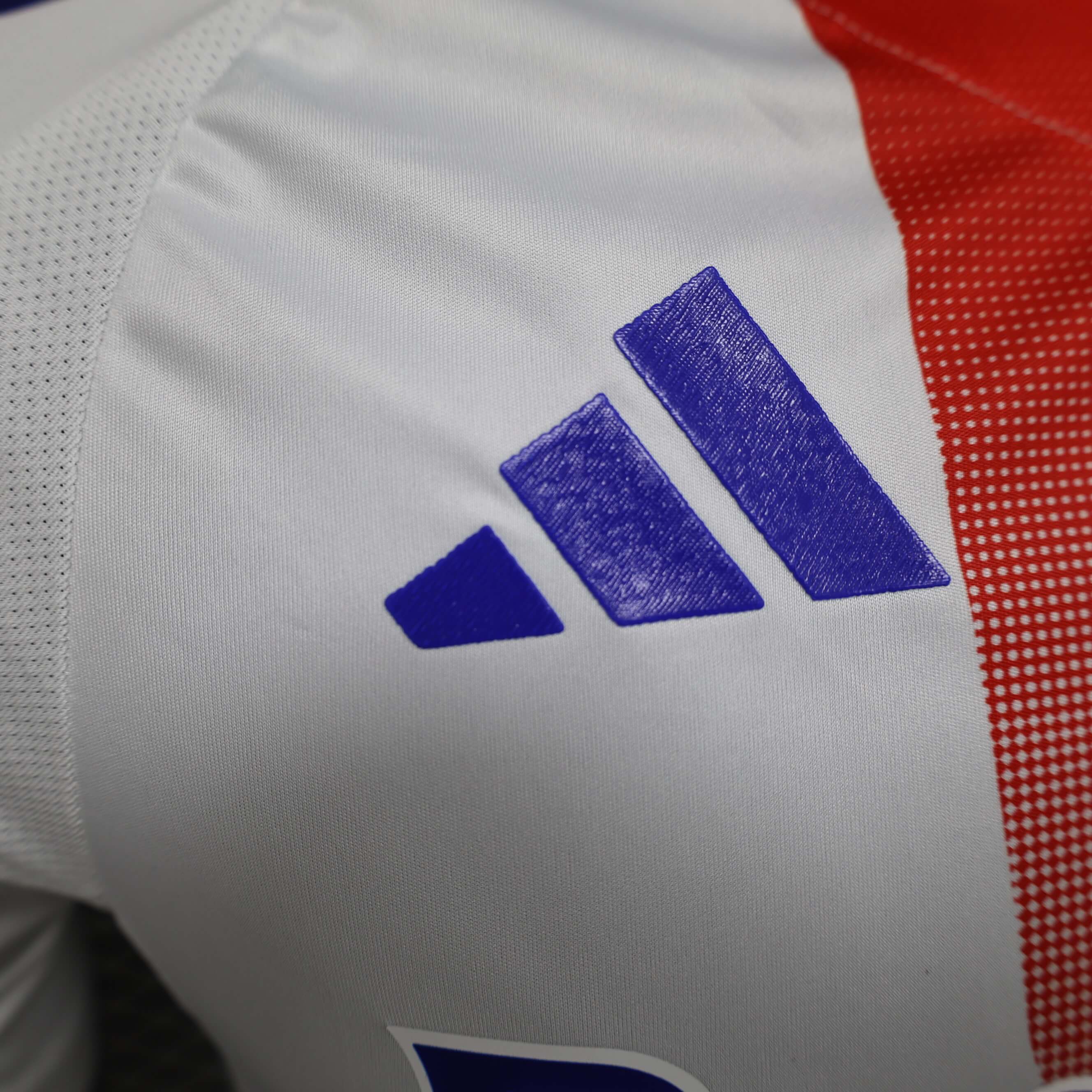 2024/2025 Player Version Lyon Home Football Shirt