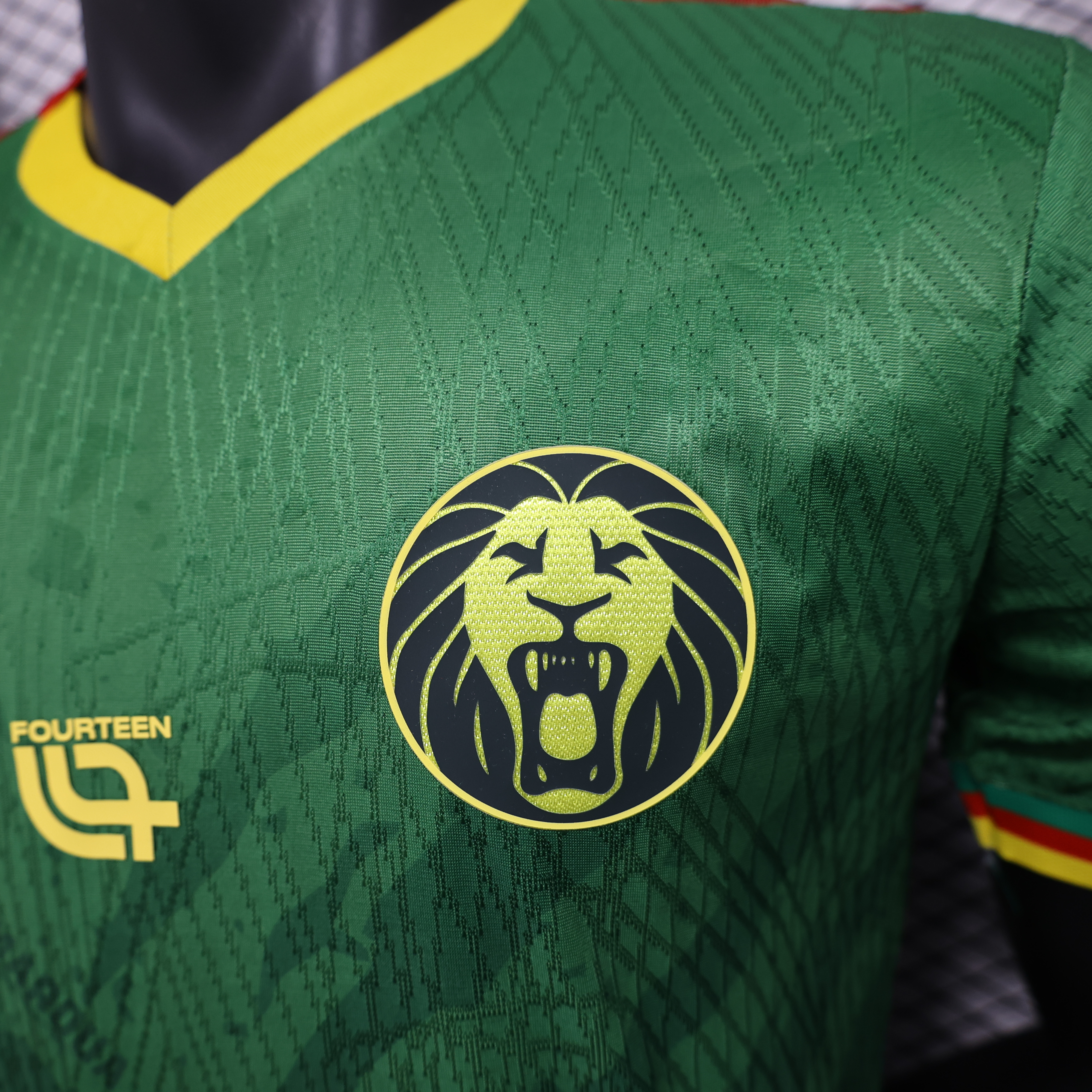 2025/2026 Player Version Cameroon  Football Shirt