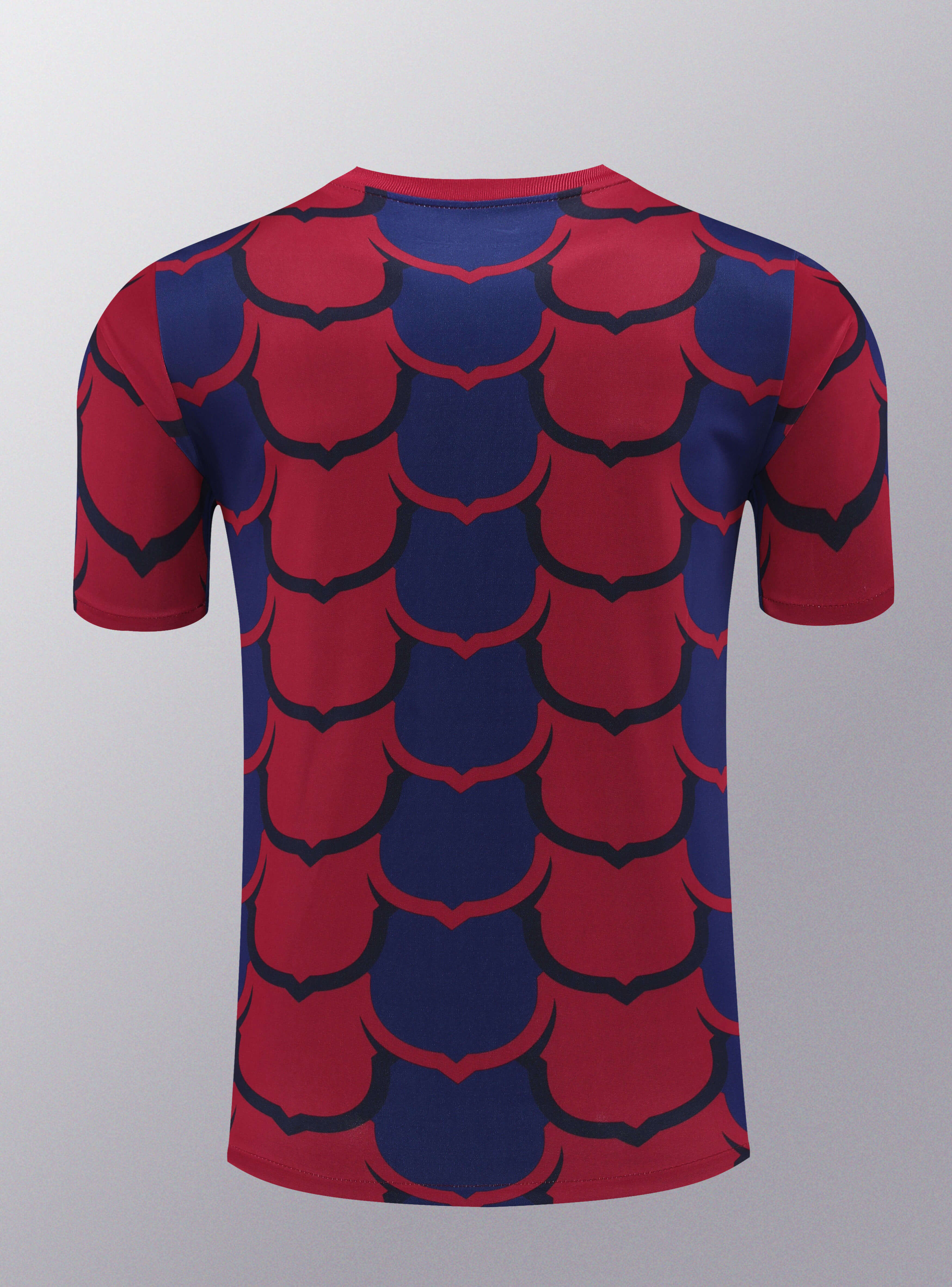 2024/2025 Barcelona Training Wear Suit Shirt