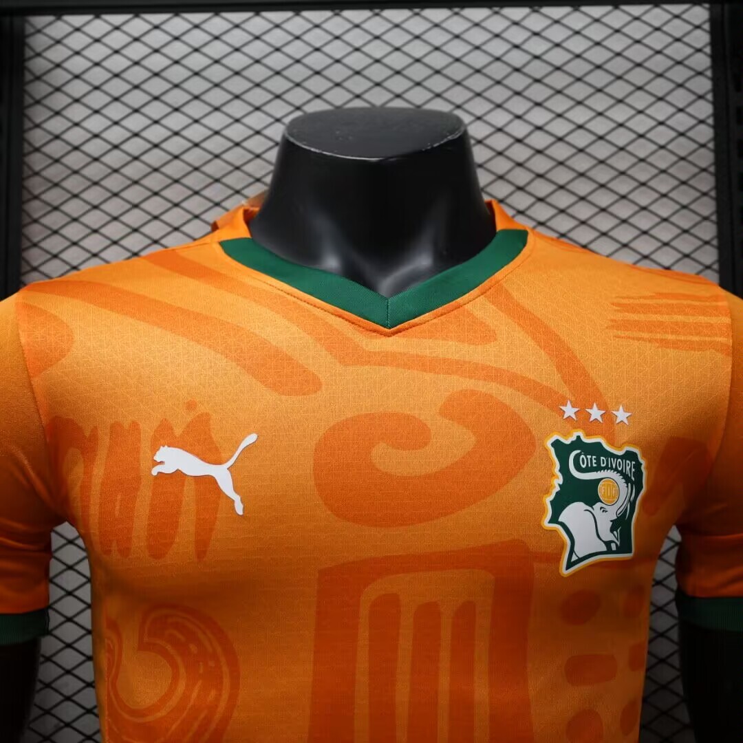 2024 Player Version Ivory Coast Home Football Shirt
