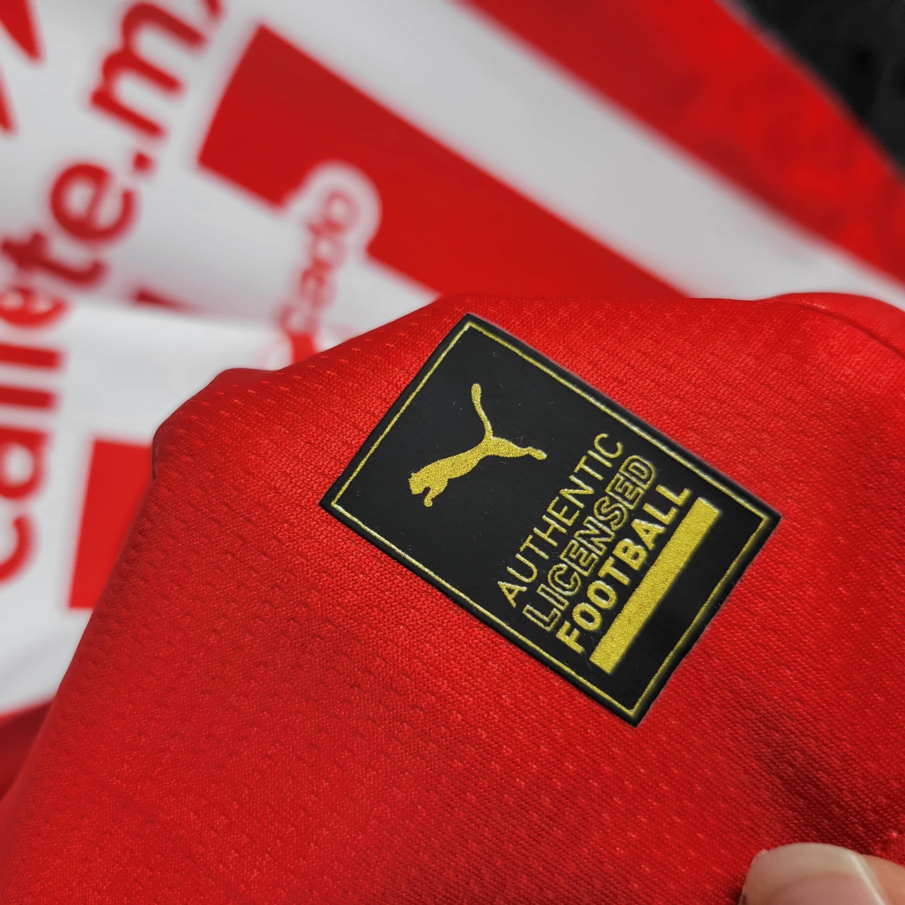 2024/2025 Chivas de Guadalajara Home Football Shirt