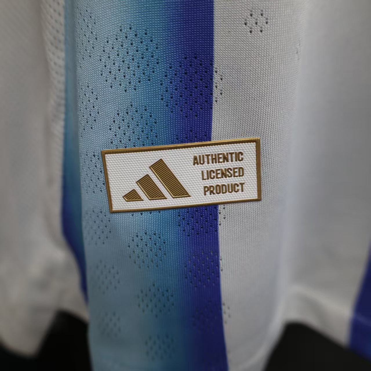 2025/2026 Argentina home Football Jersey