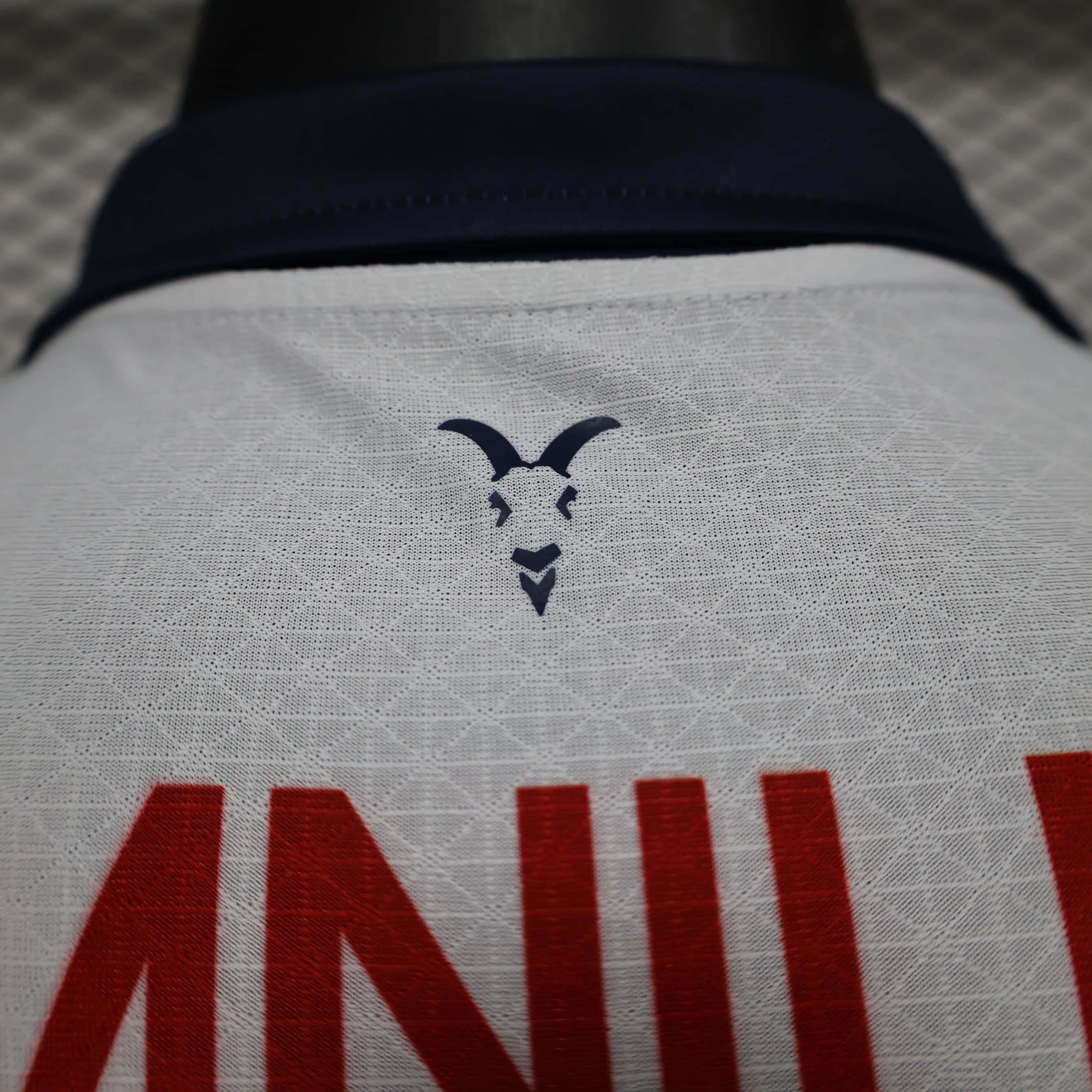 2024/2025 Player Version Chivas de Guadalajara Away Football Shirt