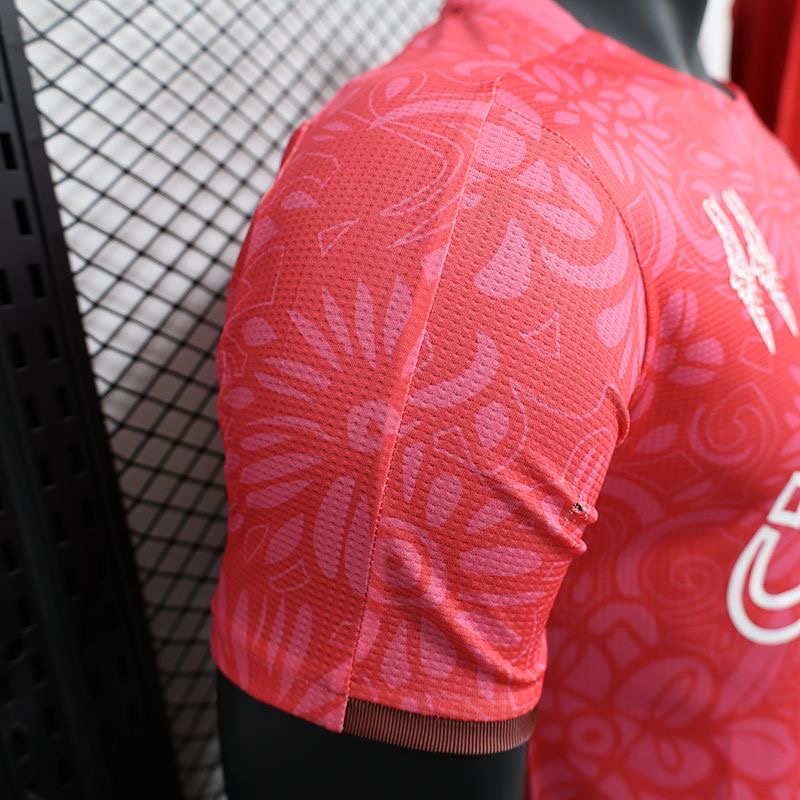 2024/2025 Player Version Club Deportivo Palestino Football Shirt 1:1 Thai Quality