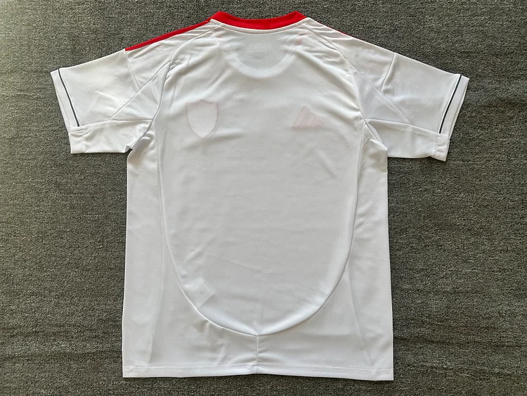 2025/2026 Liverpool Away Soccer Football Shirt