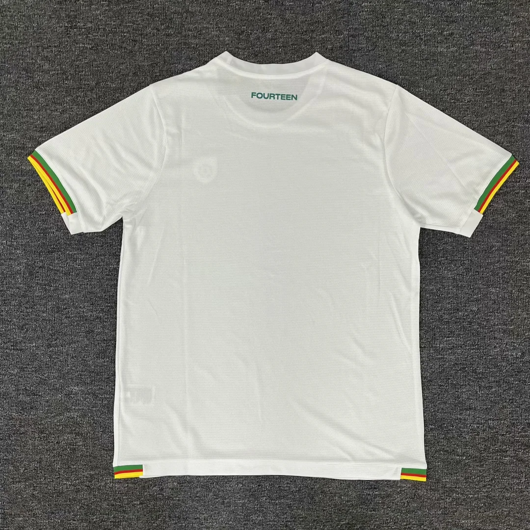 2025 Cameroon Football Shirt 1:1 Thai Quality