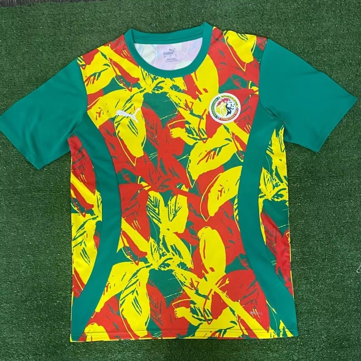 2024 Senegal Pre-Match Football Shirt1:1 Thai Quality