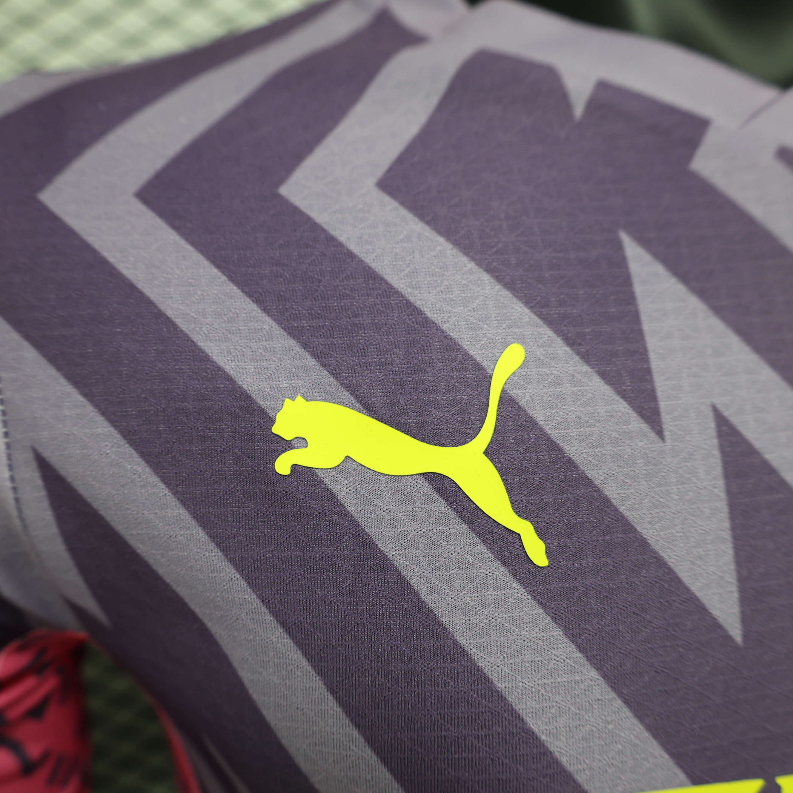 2024/2025 Authentic Manchester City Pre-match Training Jersey Football Jersey