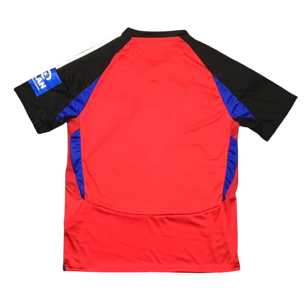 2024/2025 Hamburger SV Third Away Football Shirt