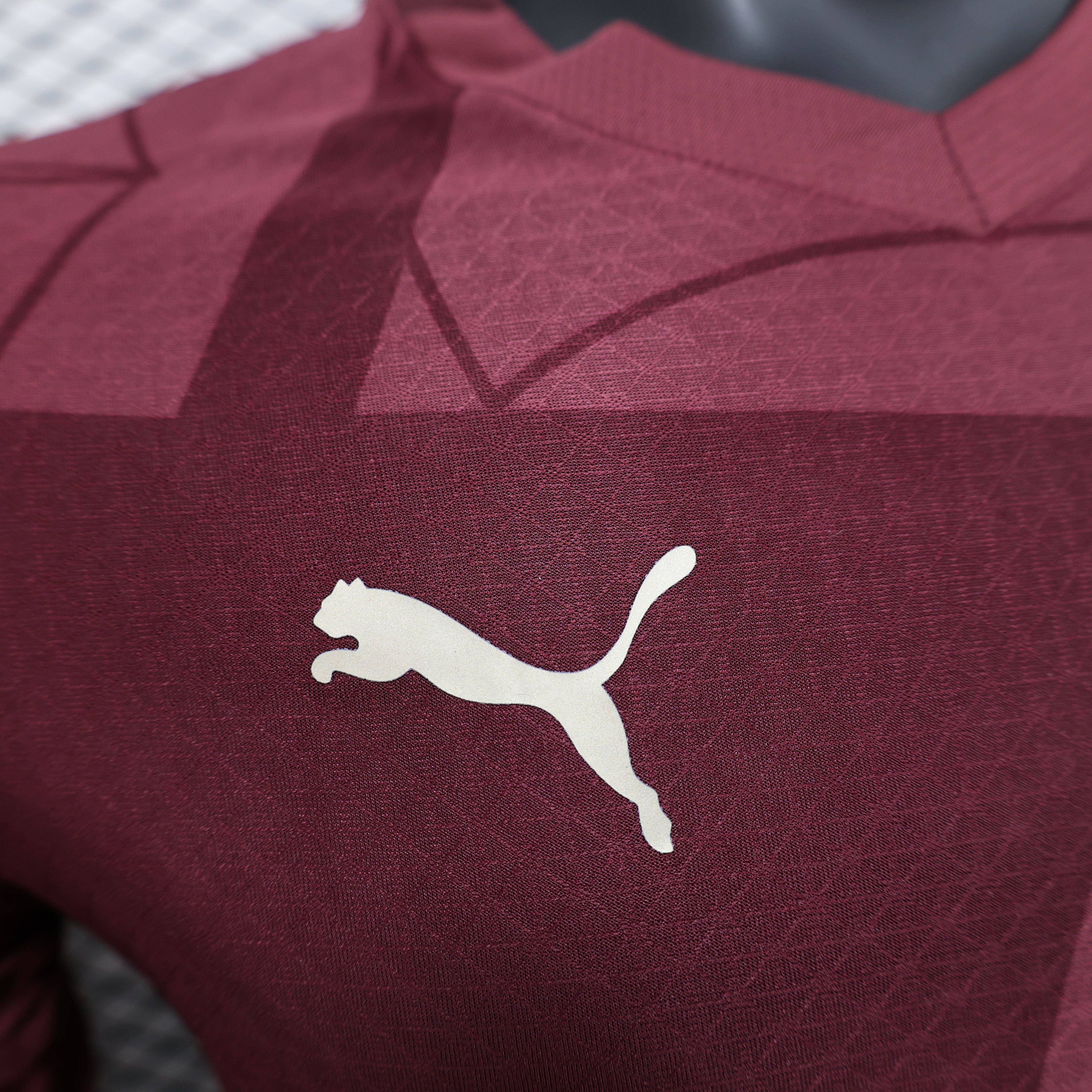 2024/2025 Long Sleeve Player Version Manchester City Football Shirt