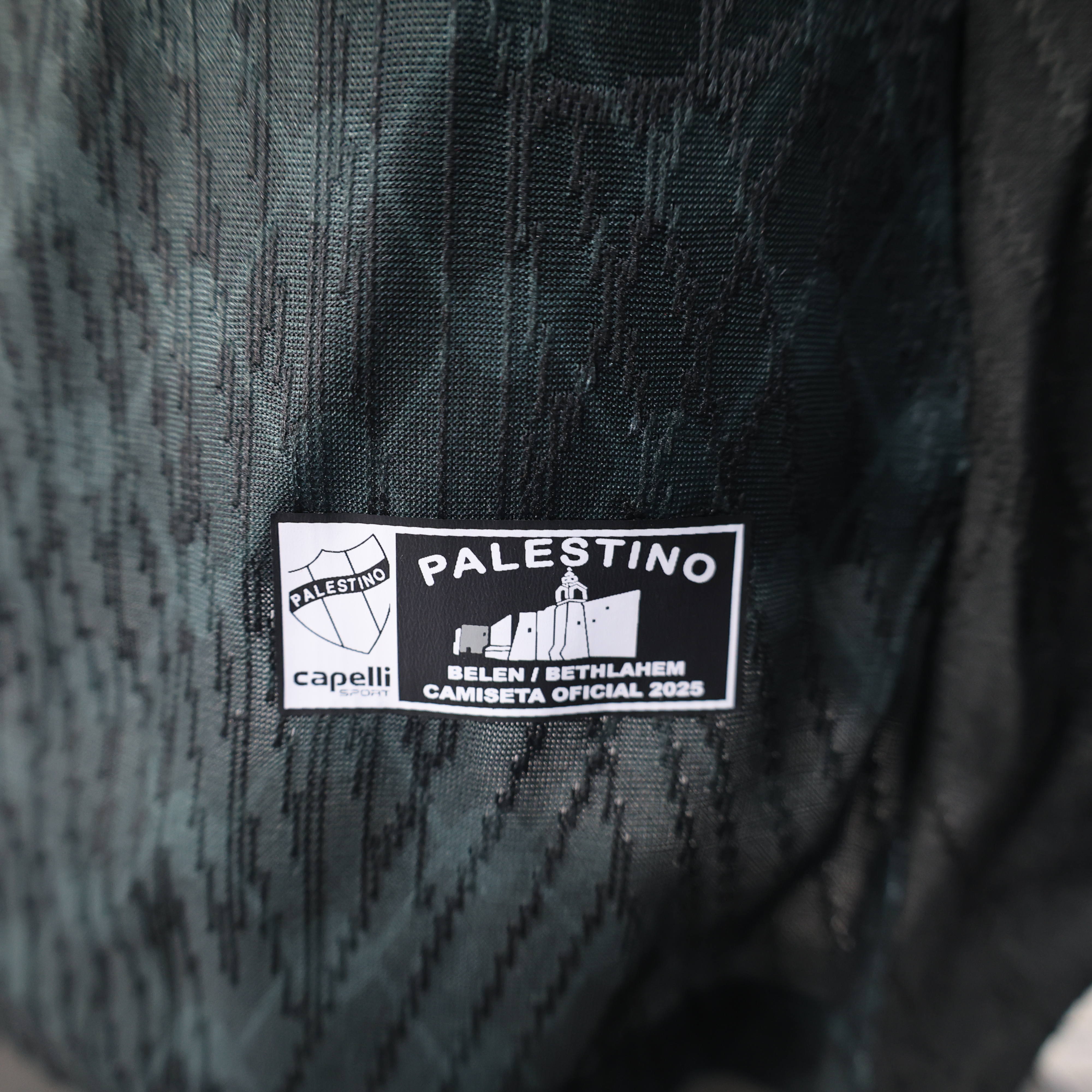 2025/2026 Player Version  Palestino Away Football Shirt 1:1 Thai Quality