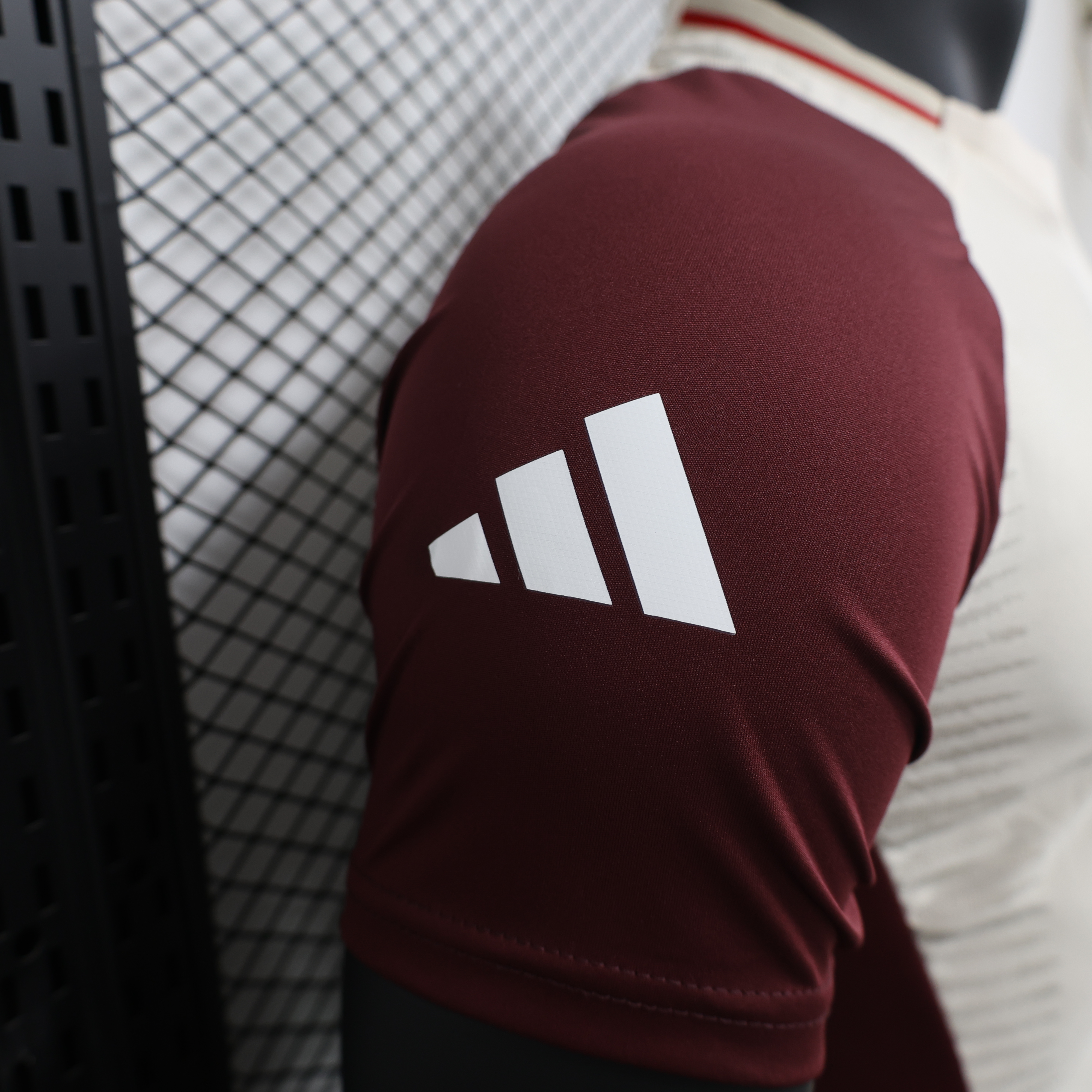 2024/2025 Player Version Bayern Munchen Special Edition Football Shirt