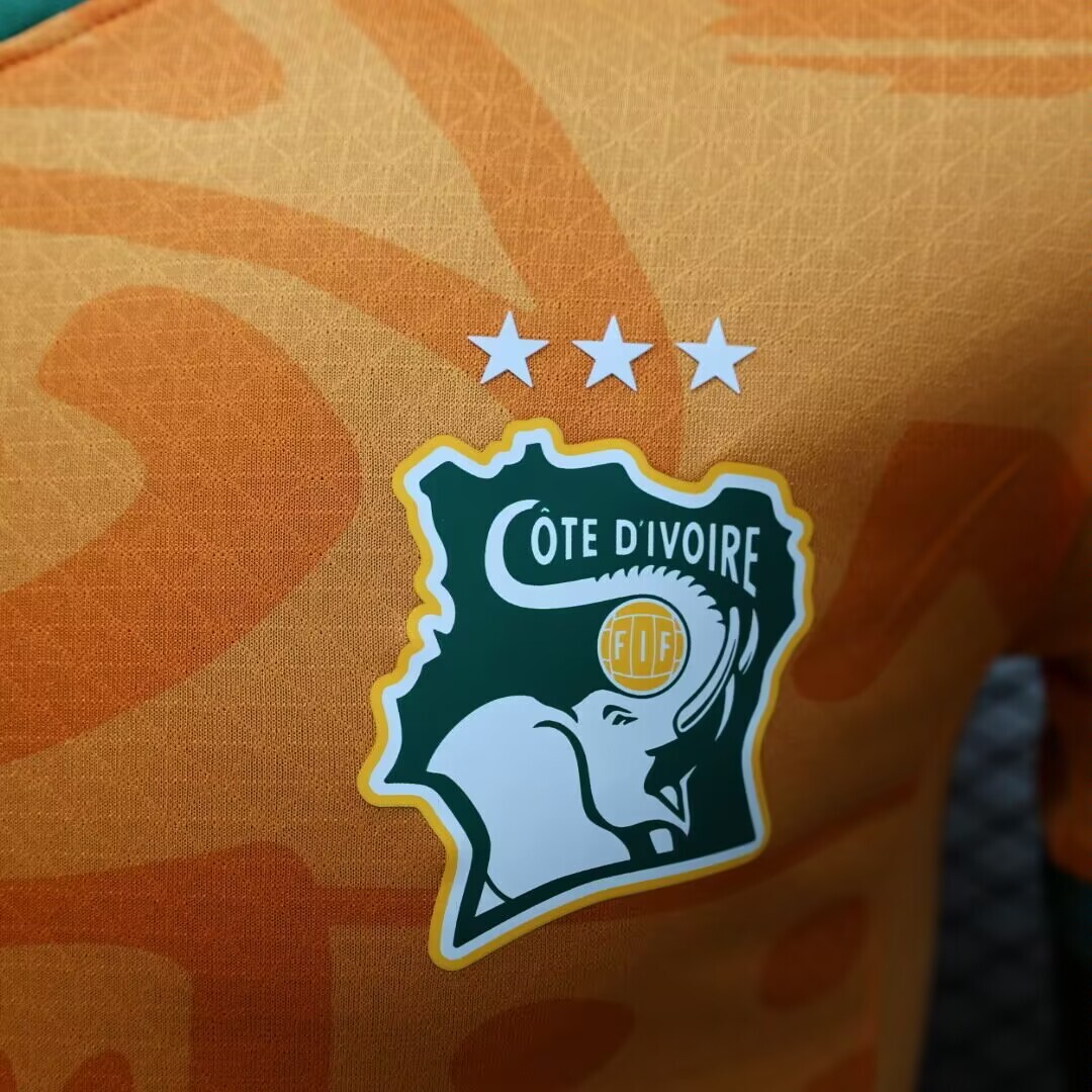 2024 Player Version Ivory Coast Home Football Shirt