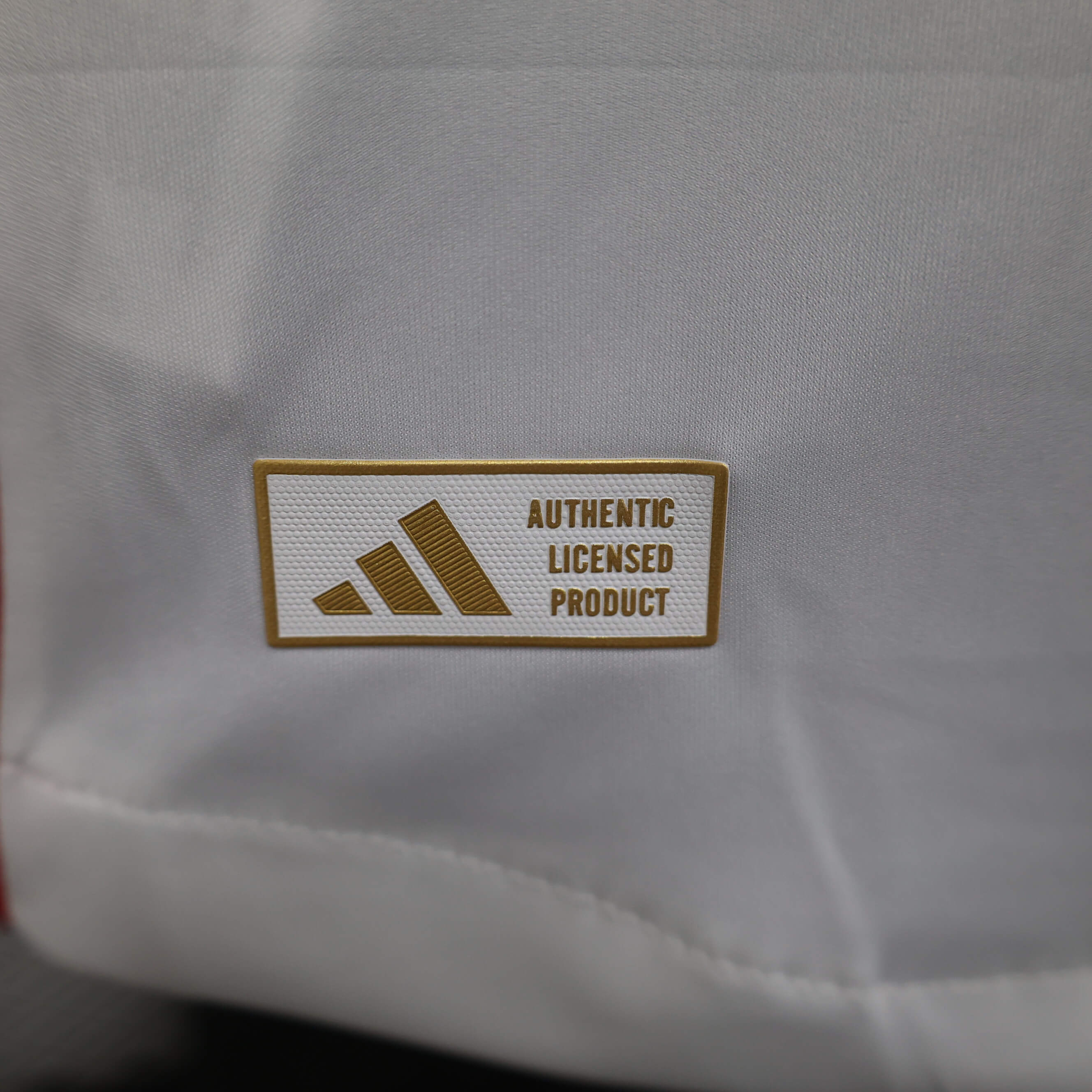 2024/2025 Player Version Lyon Home Football Shirt