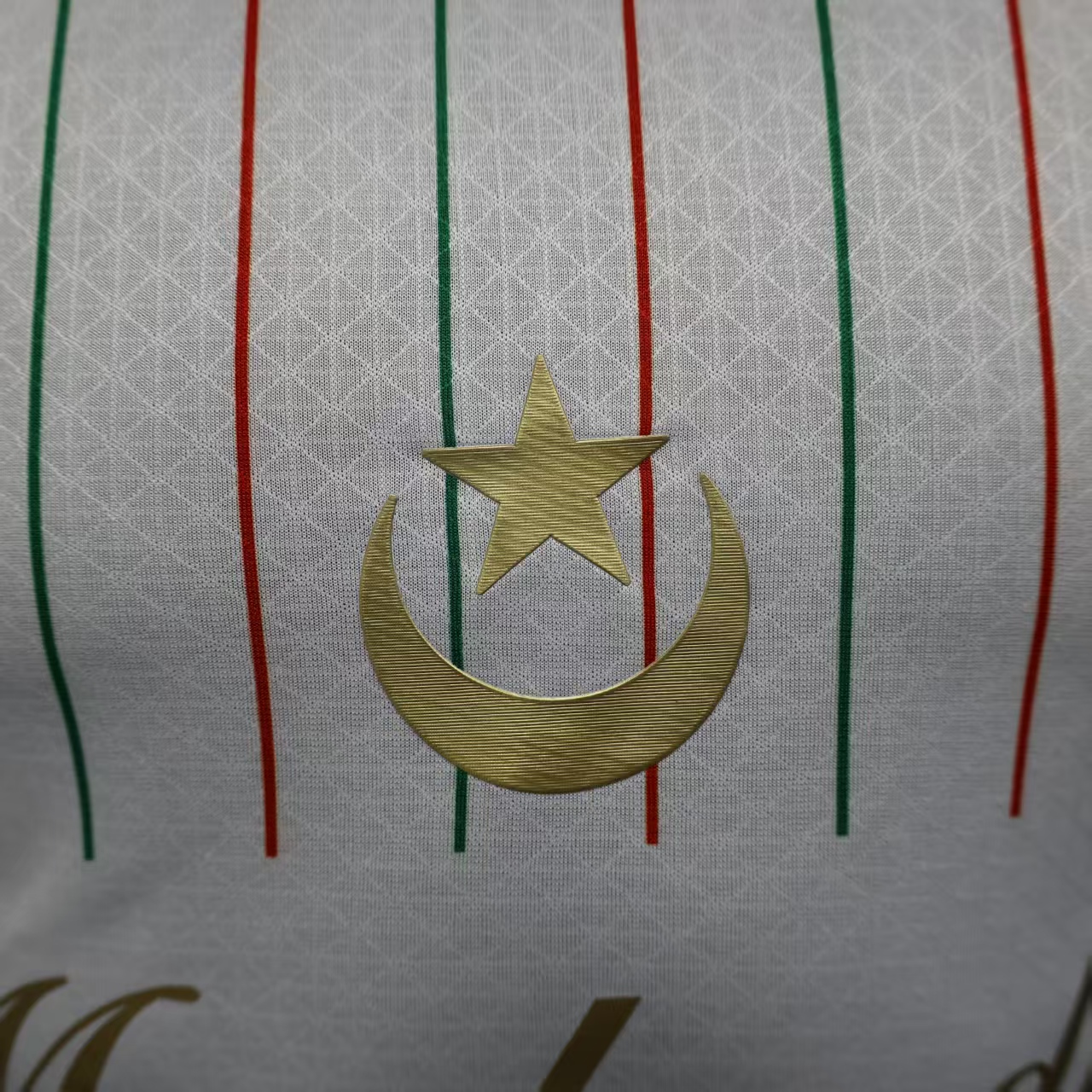 2025/2026 Player Version  Palestino  Football Shirt 1:1 Thai Quality