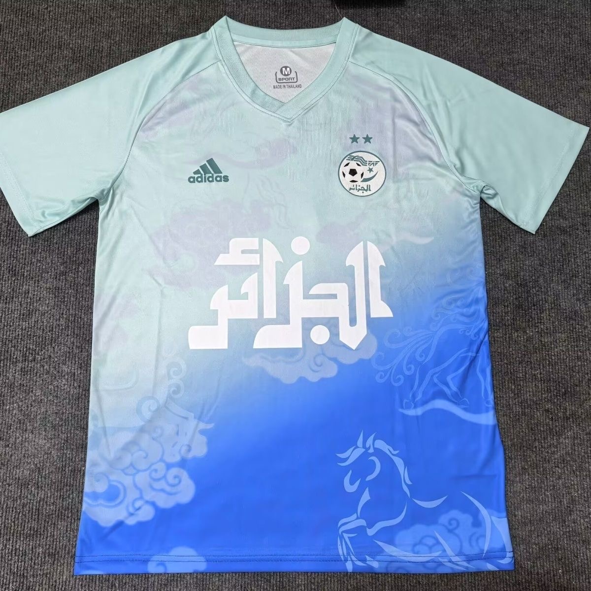 2025/2026  Algeria Special Edition Jersey