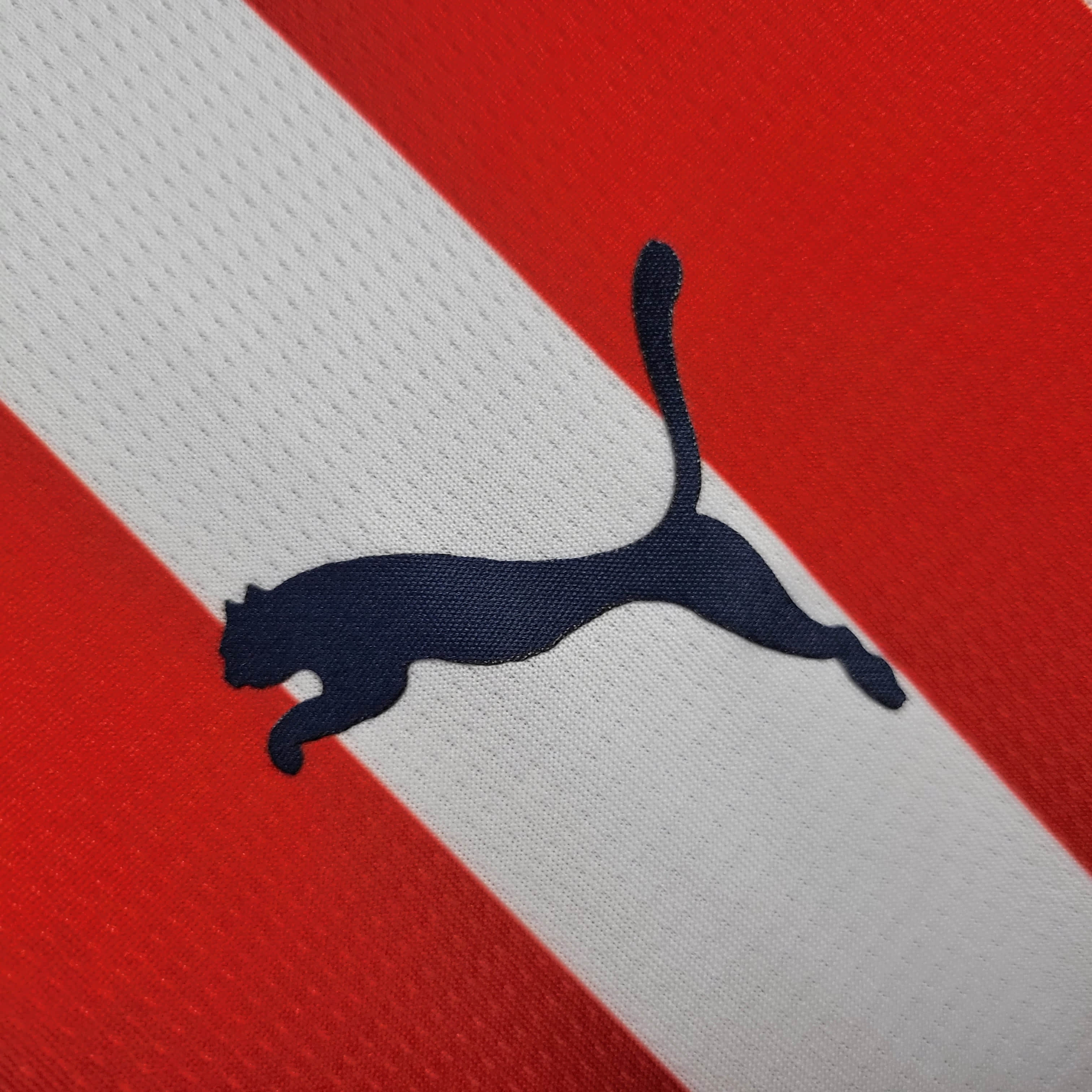 2024/2025 Chivas de Guadalajara Home Football Shirt