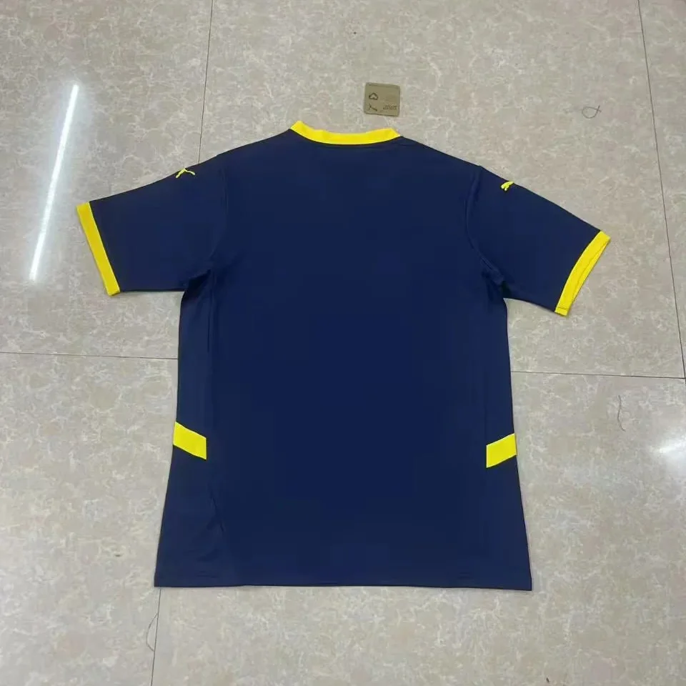 2025/2026 Fenerbahce Special EditionFootball shirt 1:1 Thai Quality