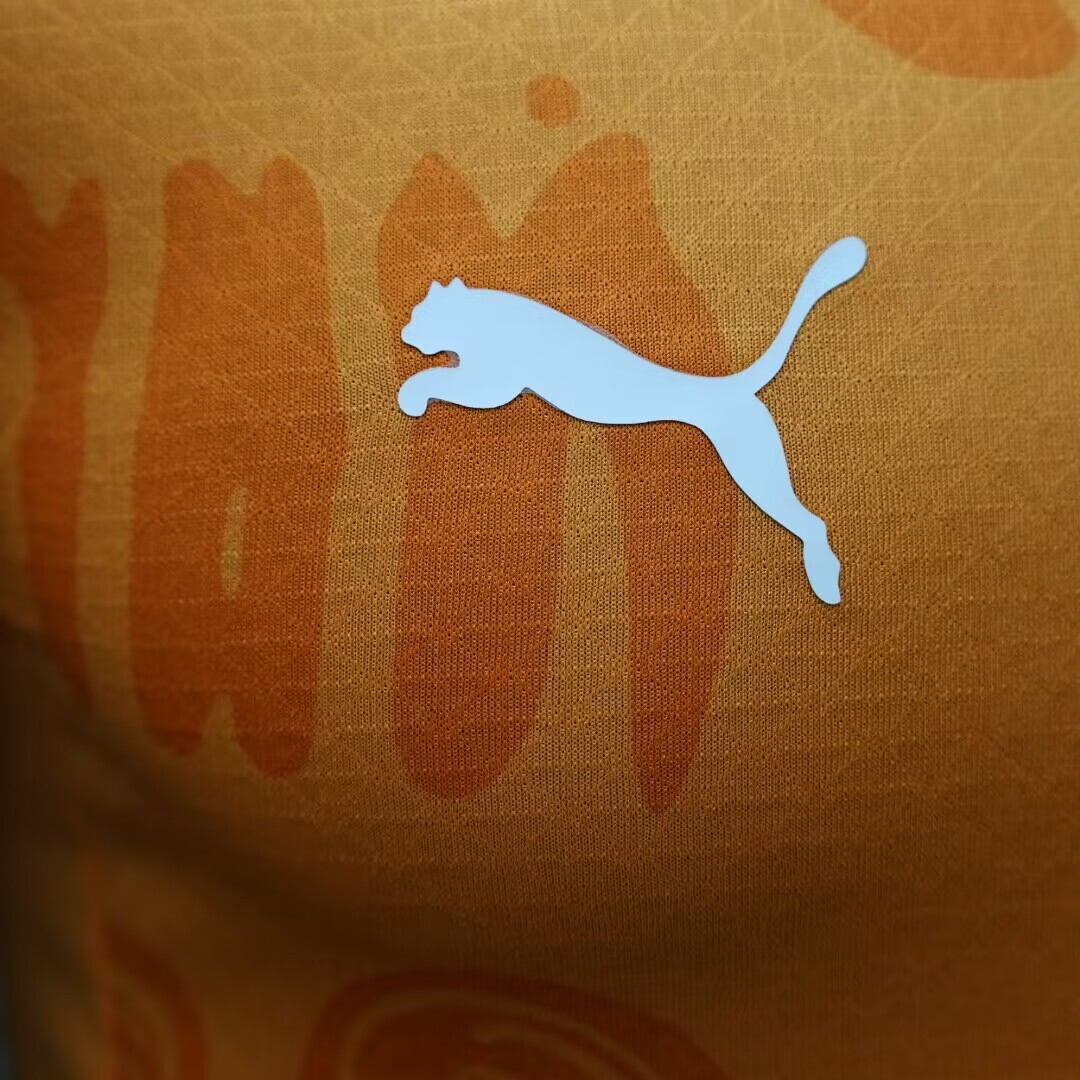 2024 Player Version Ivory Coast Home Football Shirt