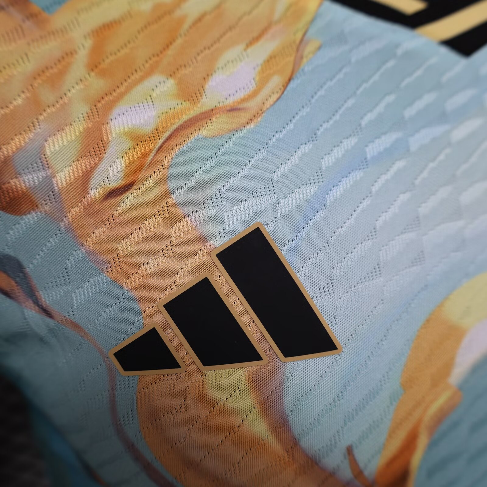 2024 Player Version Argentina Special Edition Football Shirt