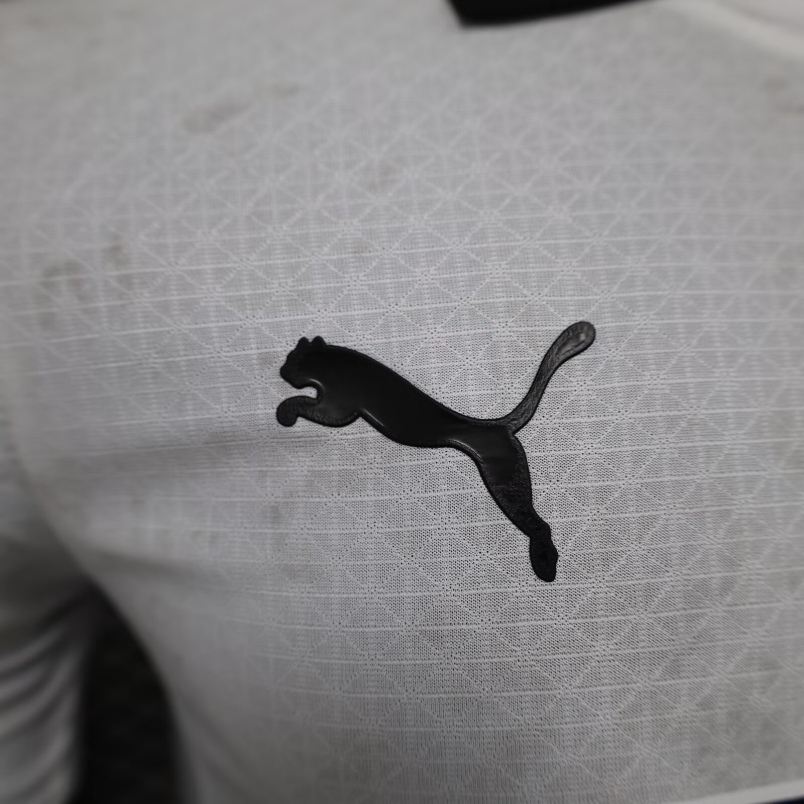 2024/2025 Player Version Dortmund Third Away Football Shirt