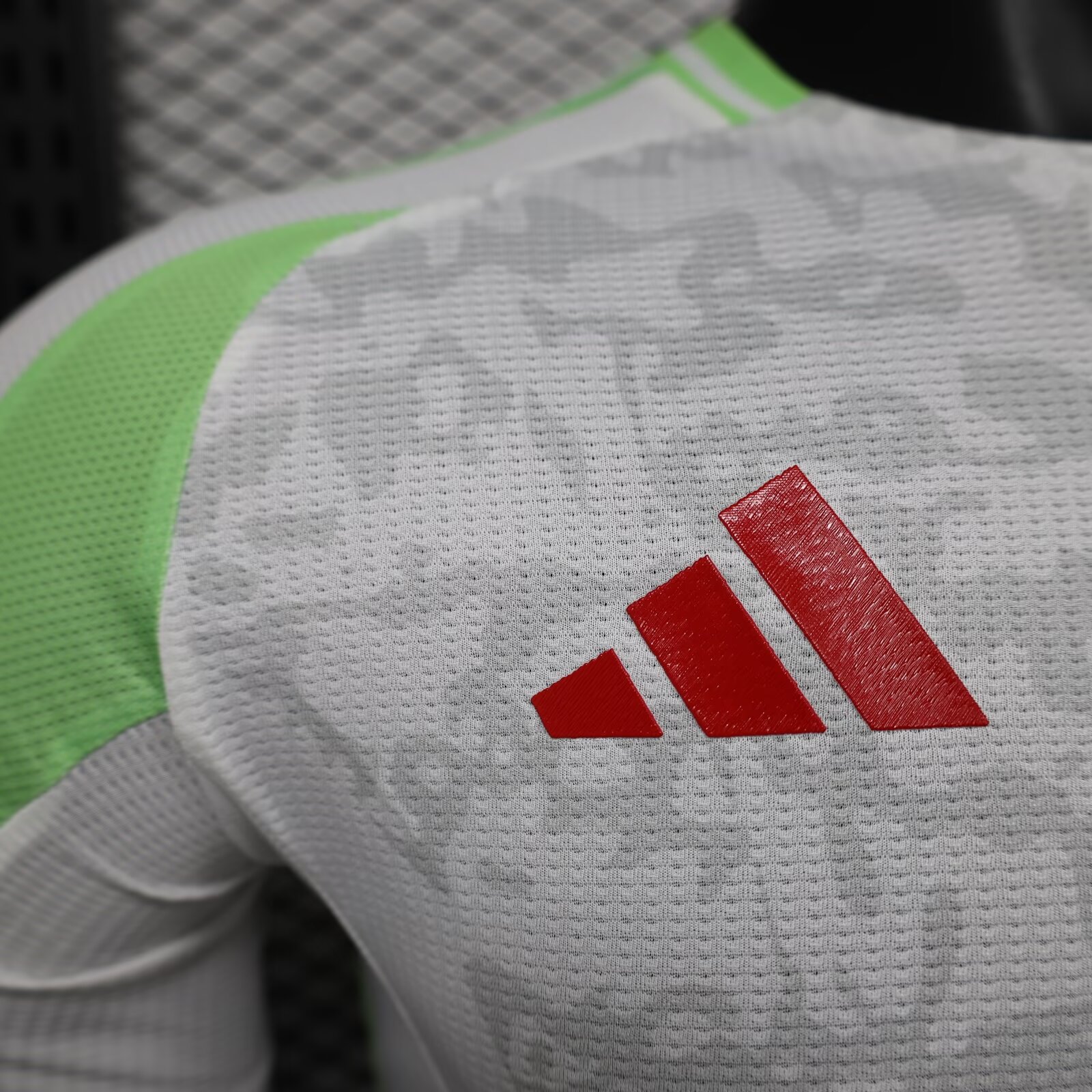 2024/2025 Player Version Algeria Home Football Shirt