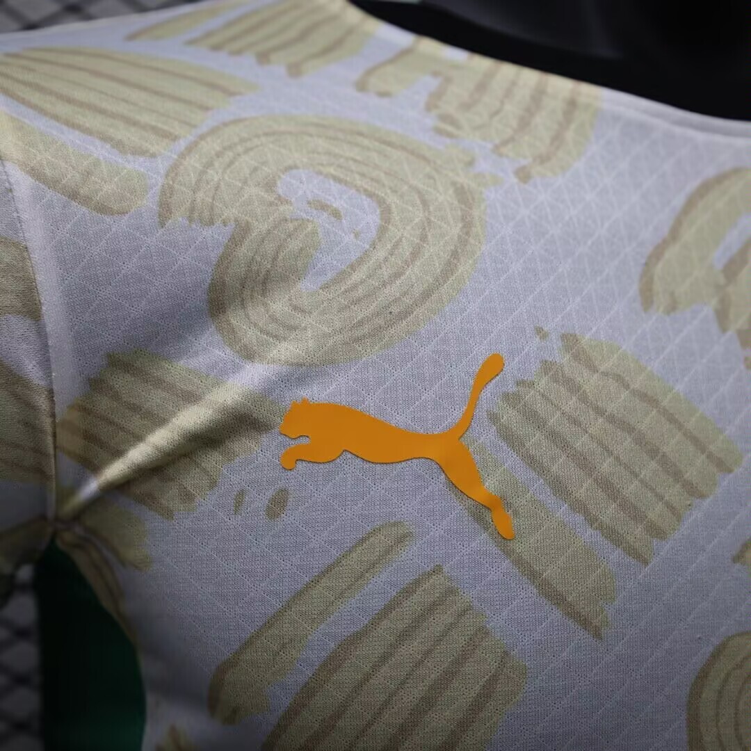 2024 Player Version Ivory Coast Away Football Shirt