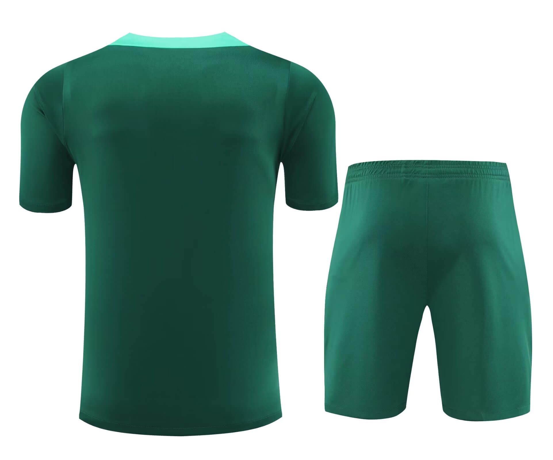 2024/2025 Portugal Training Wear Green Suit Shirt