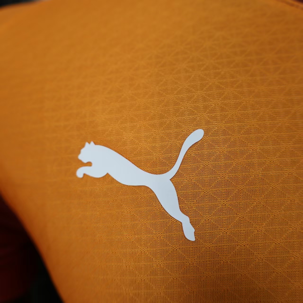 2025/2026 Player Version Galatasaray home Football Shirt