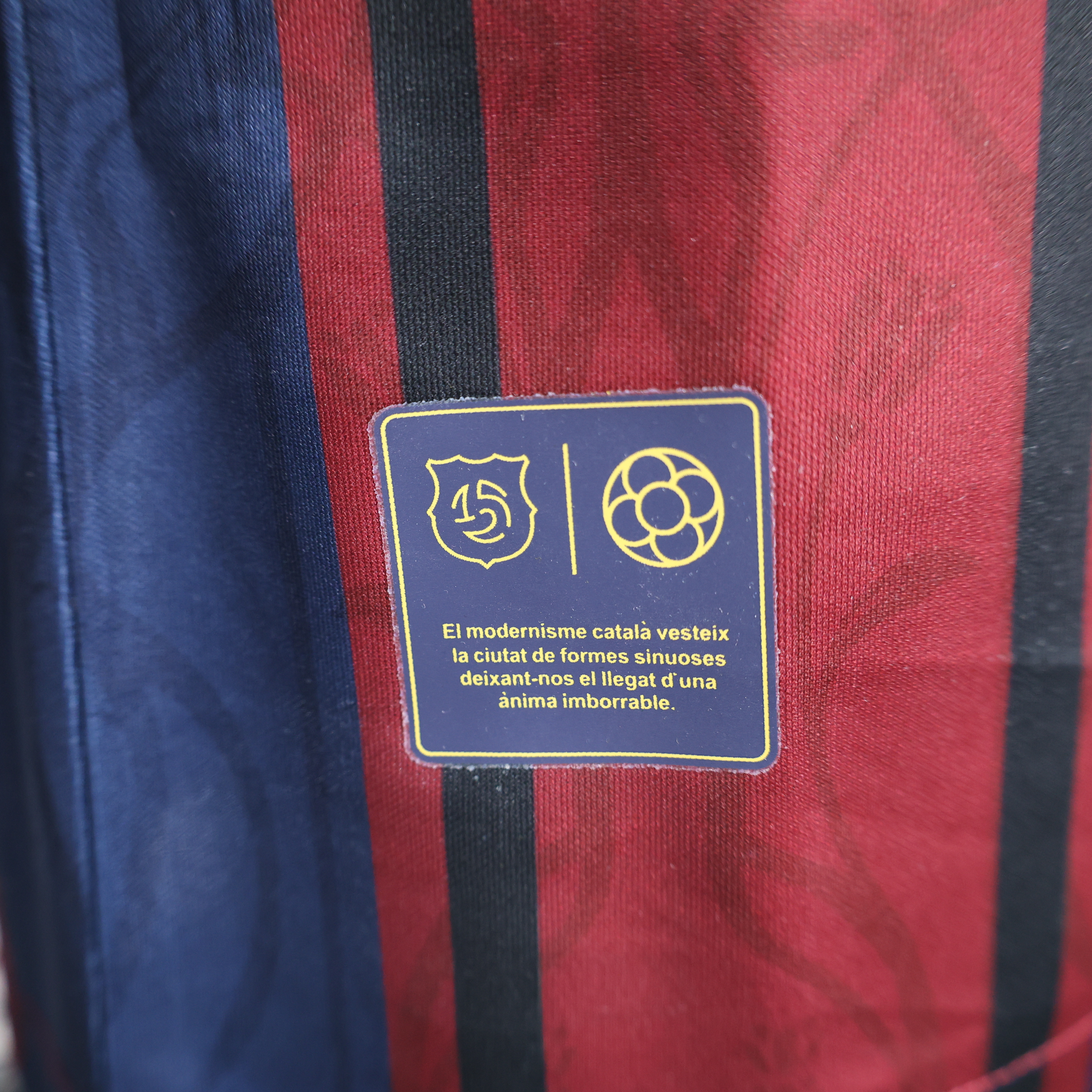 2025/2026 Player Version Barcelona Special Edition Football Shirt