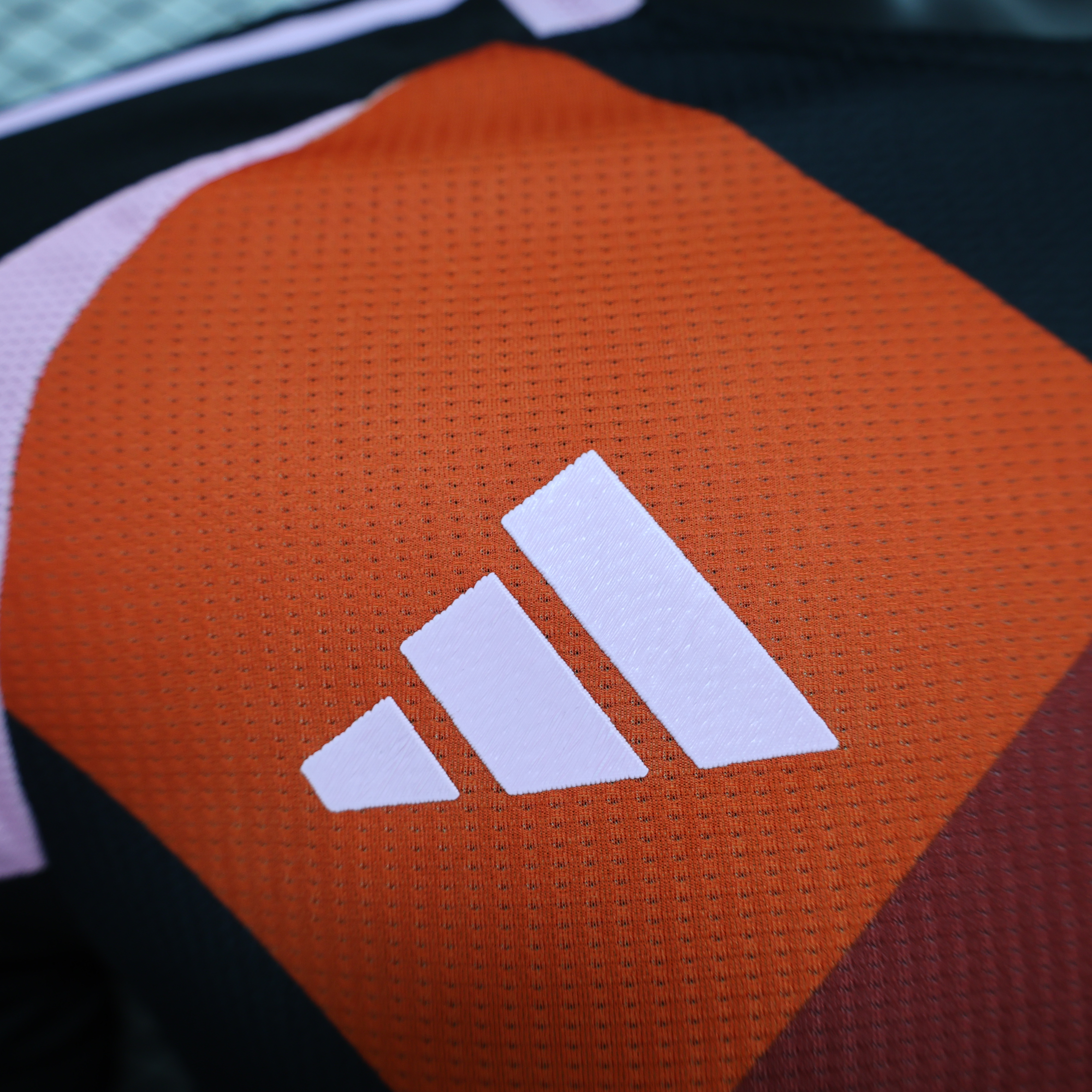 2024/2025 Player Version Bayern Munchen Special Edition Football Shirt