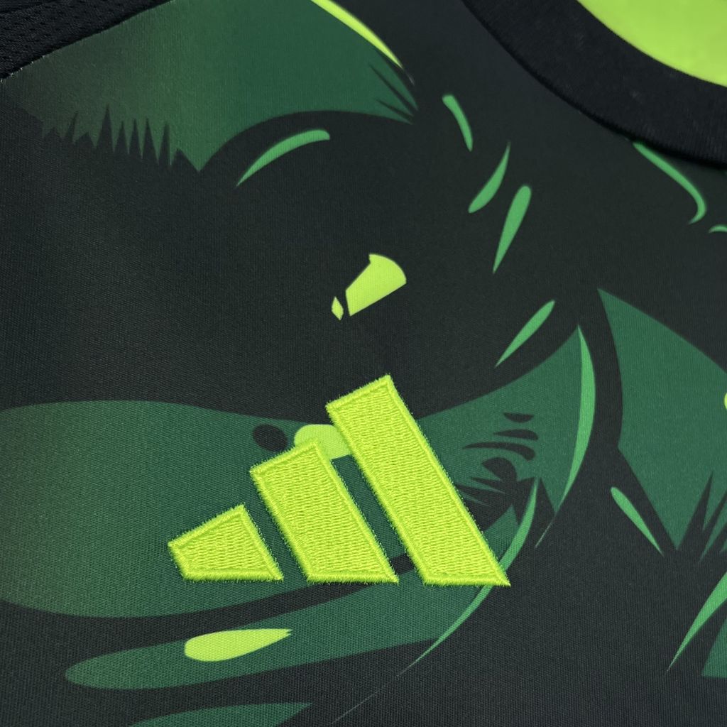 2024/2025 Real Madrid Special Edition Football Shirt