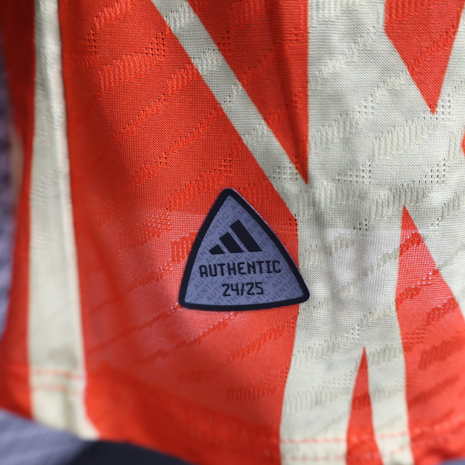 2024/2025 Player Version Bayern Munchen Pre-Match Home Football Shirt