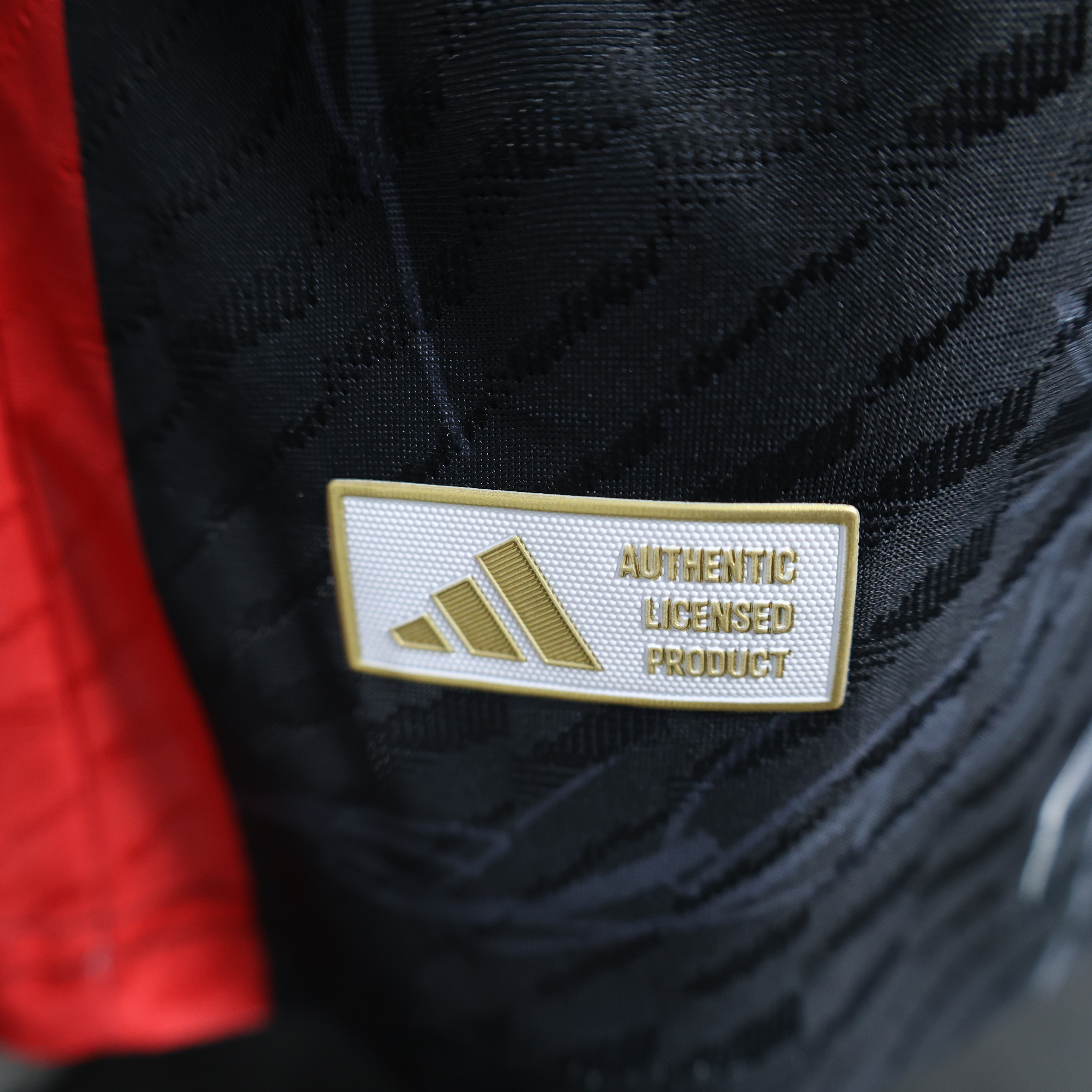 2024/2025 Player Version Japan Special Edition Football Shirt