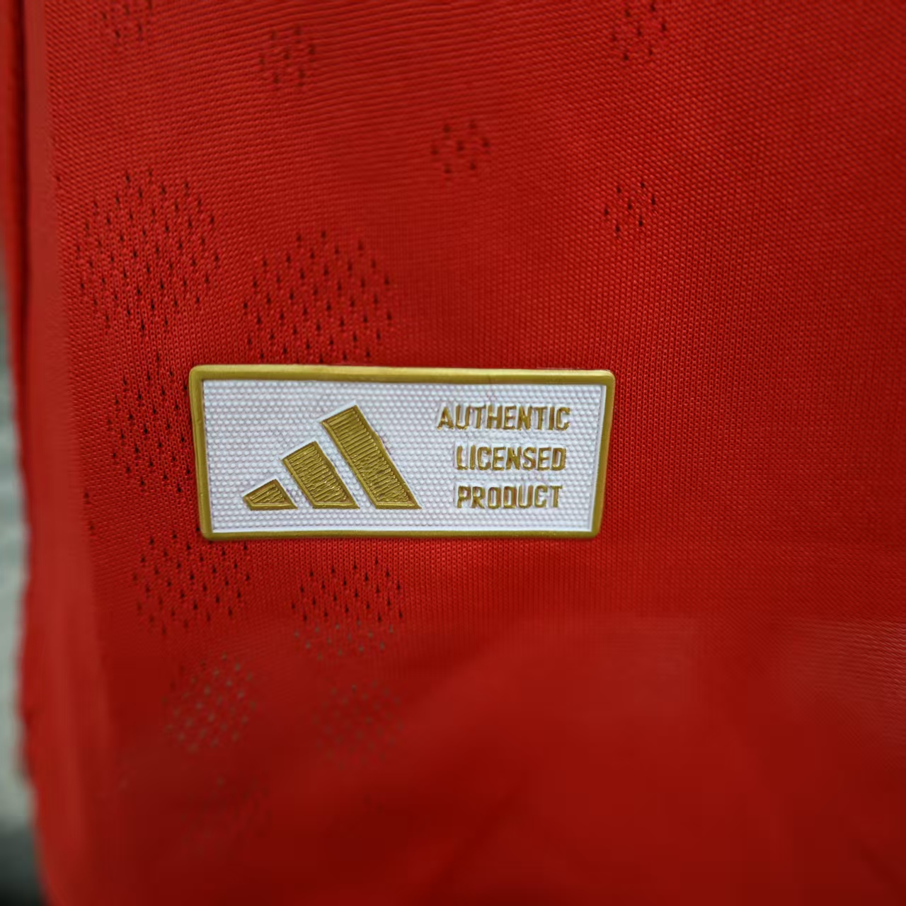 2025/2026 Player Version Benfica home Football Shirt